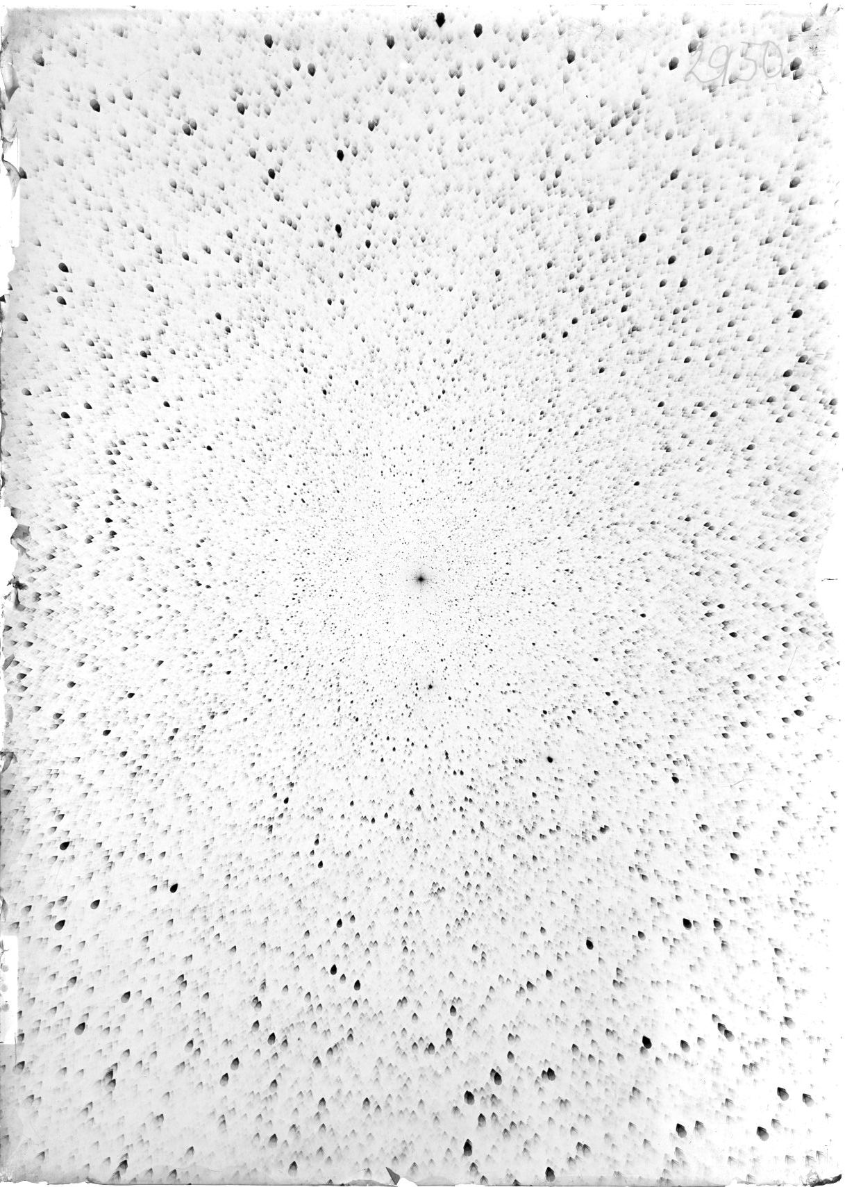 Scan ST02950