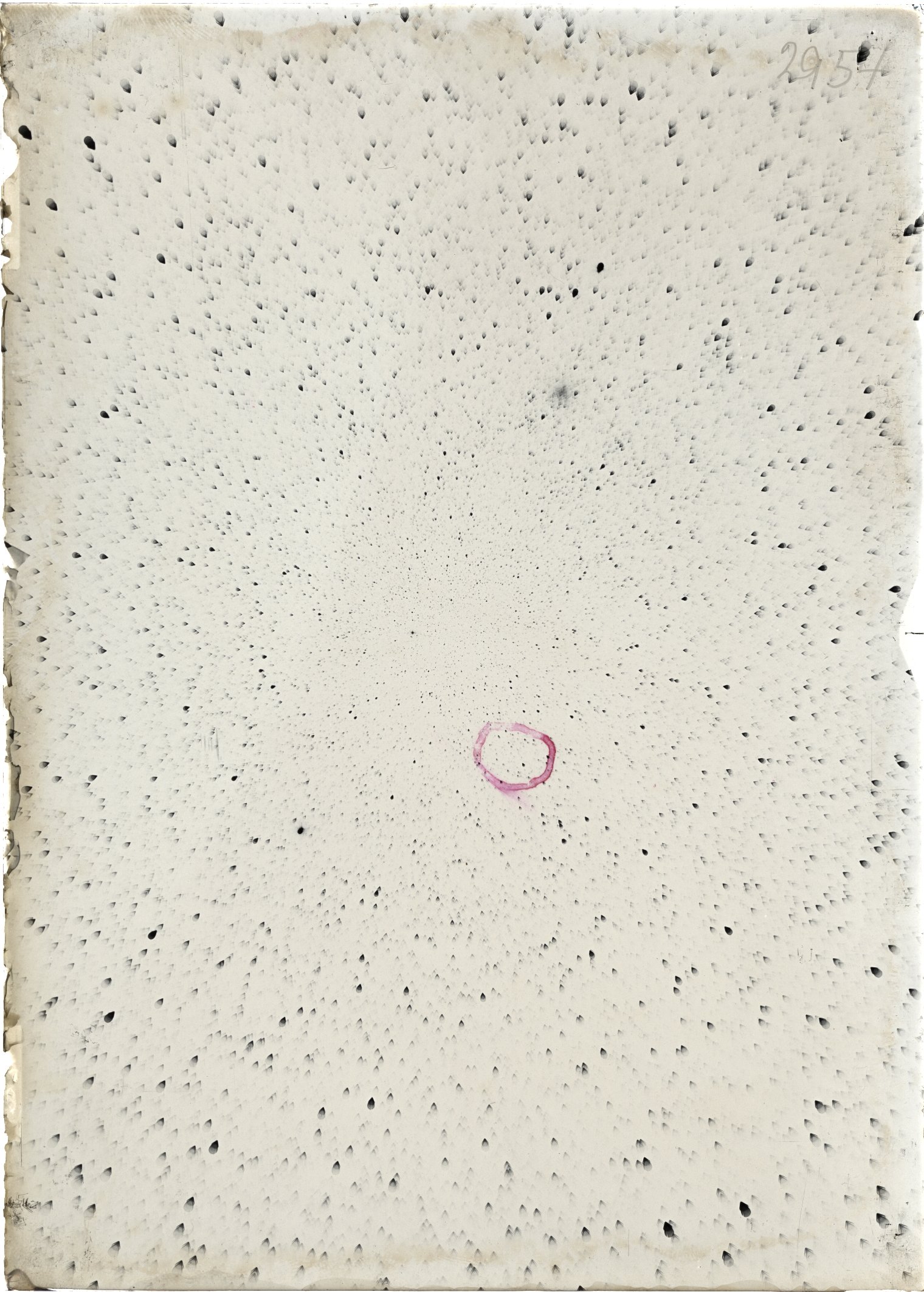 Scan ST02954