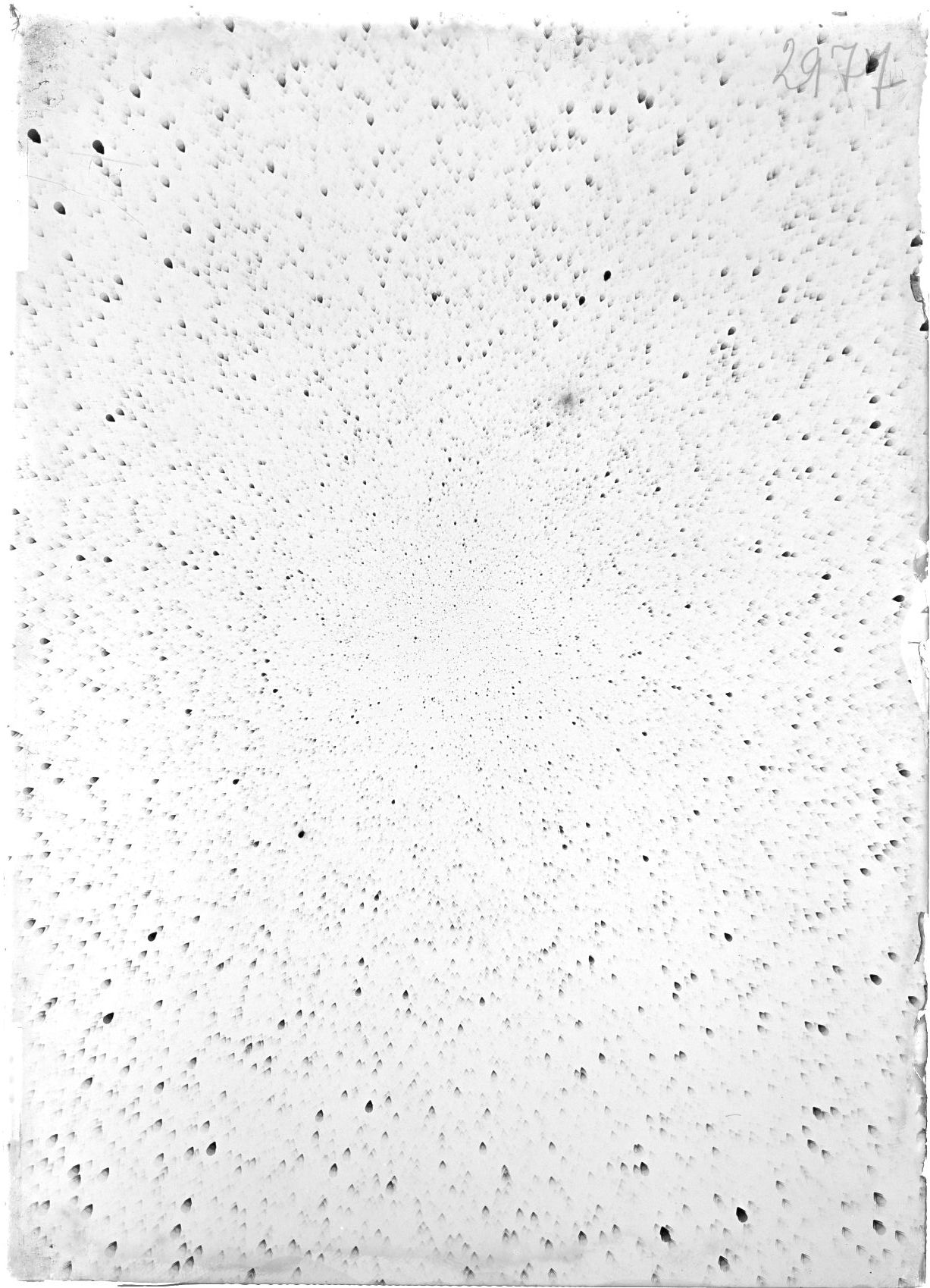 Scan ST02977