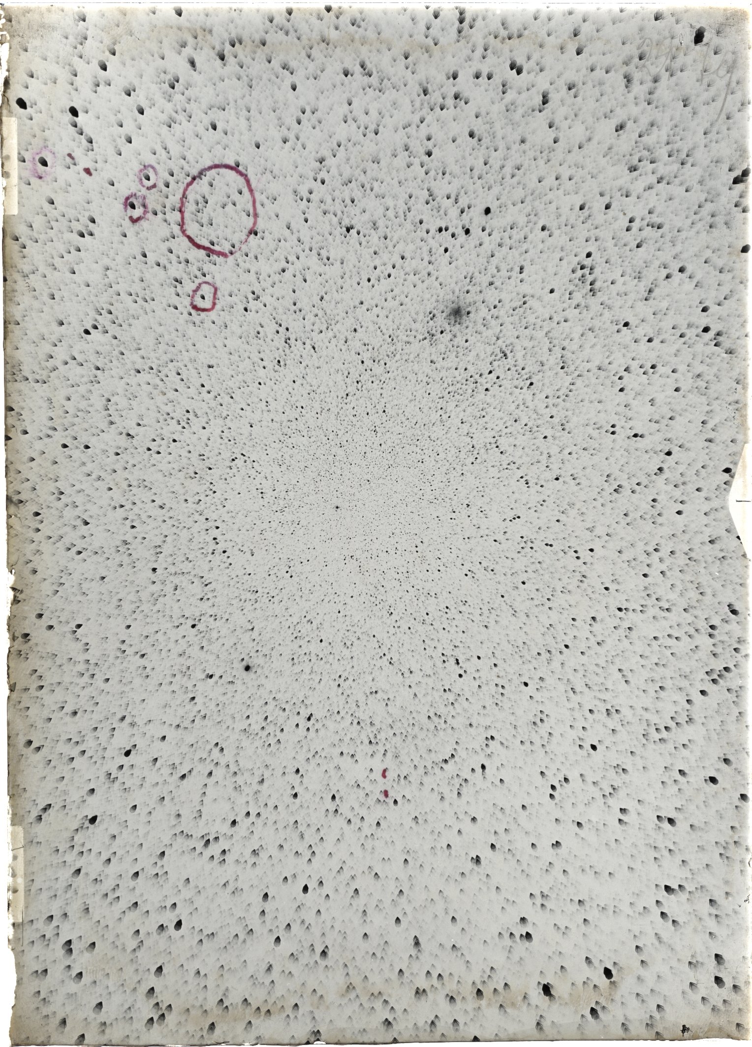 Scan ST02979