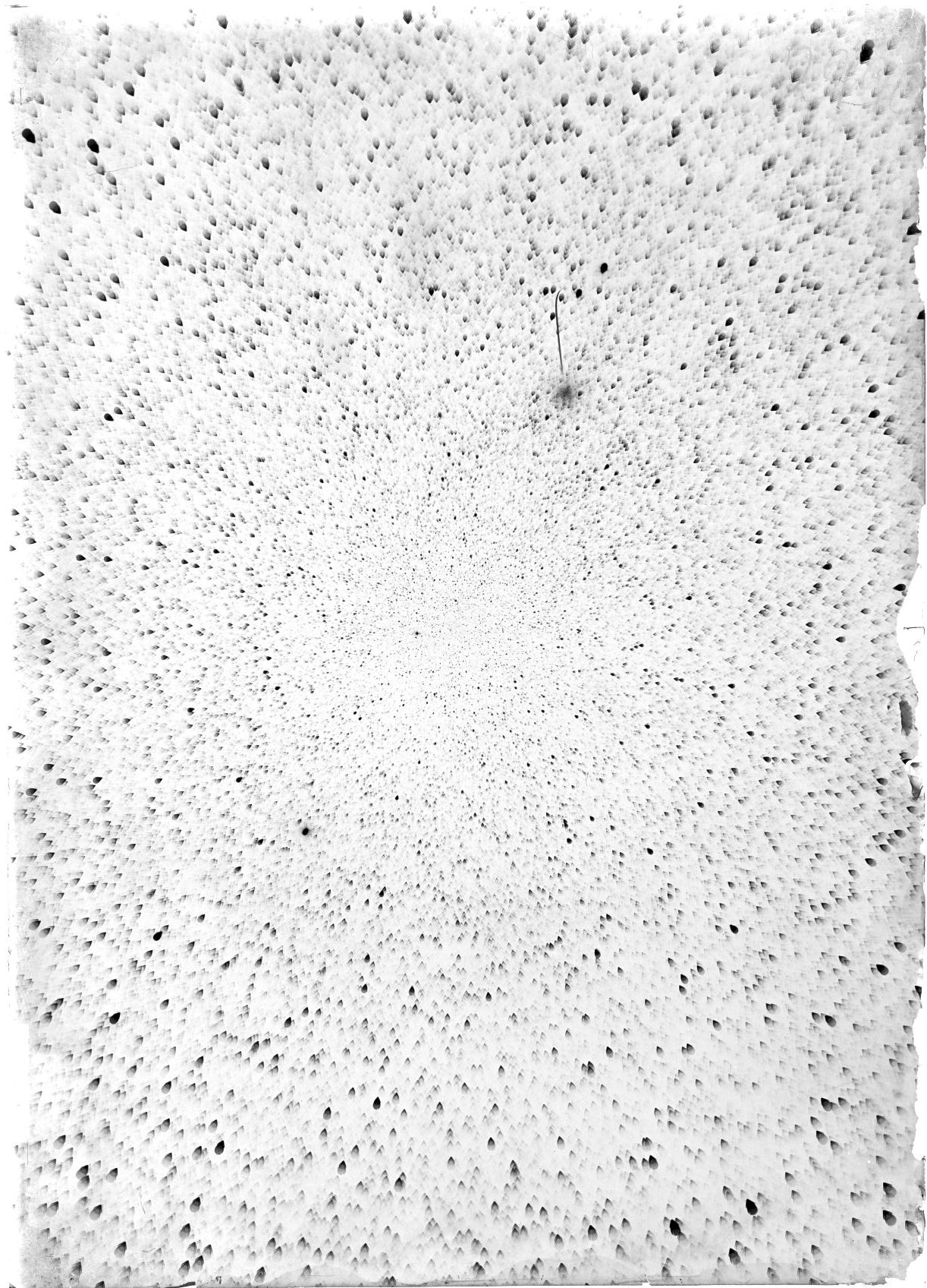 Scan ST02990