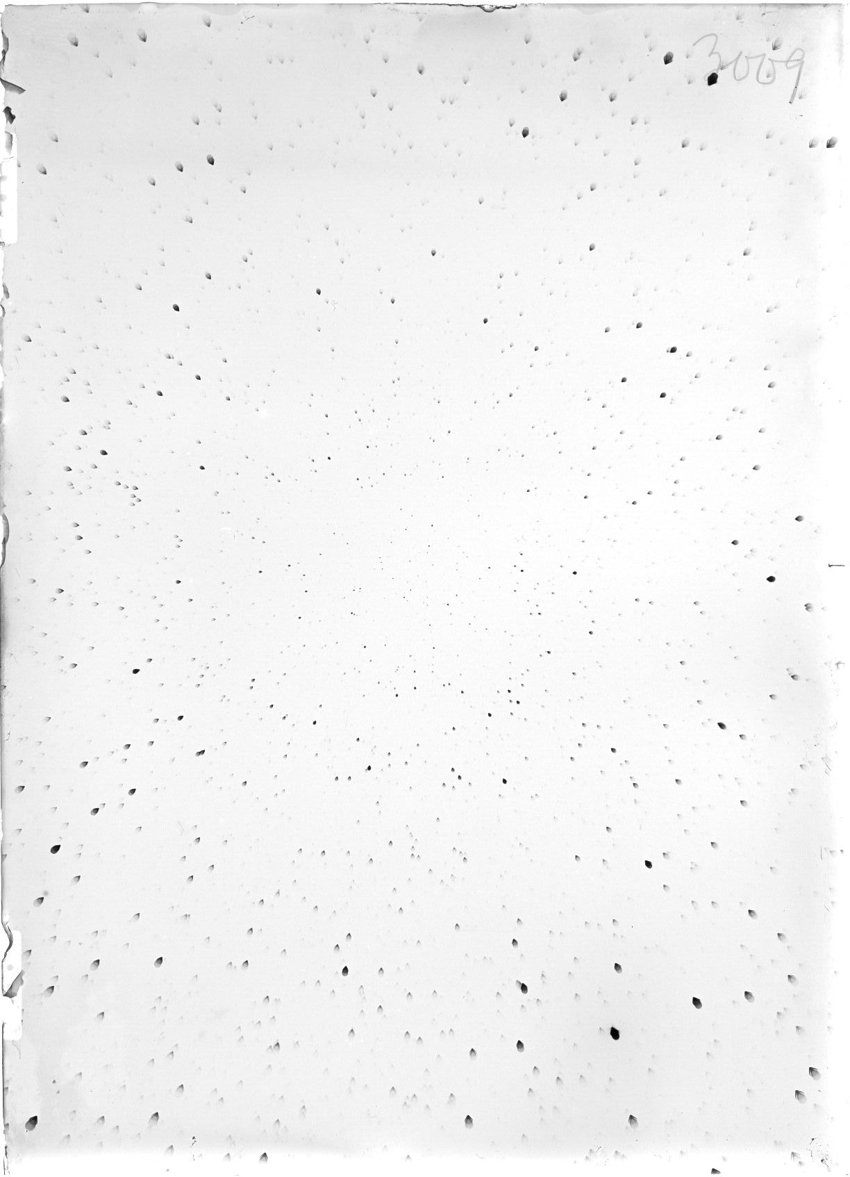 Scan ST03009