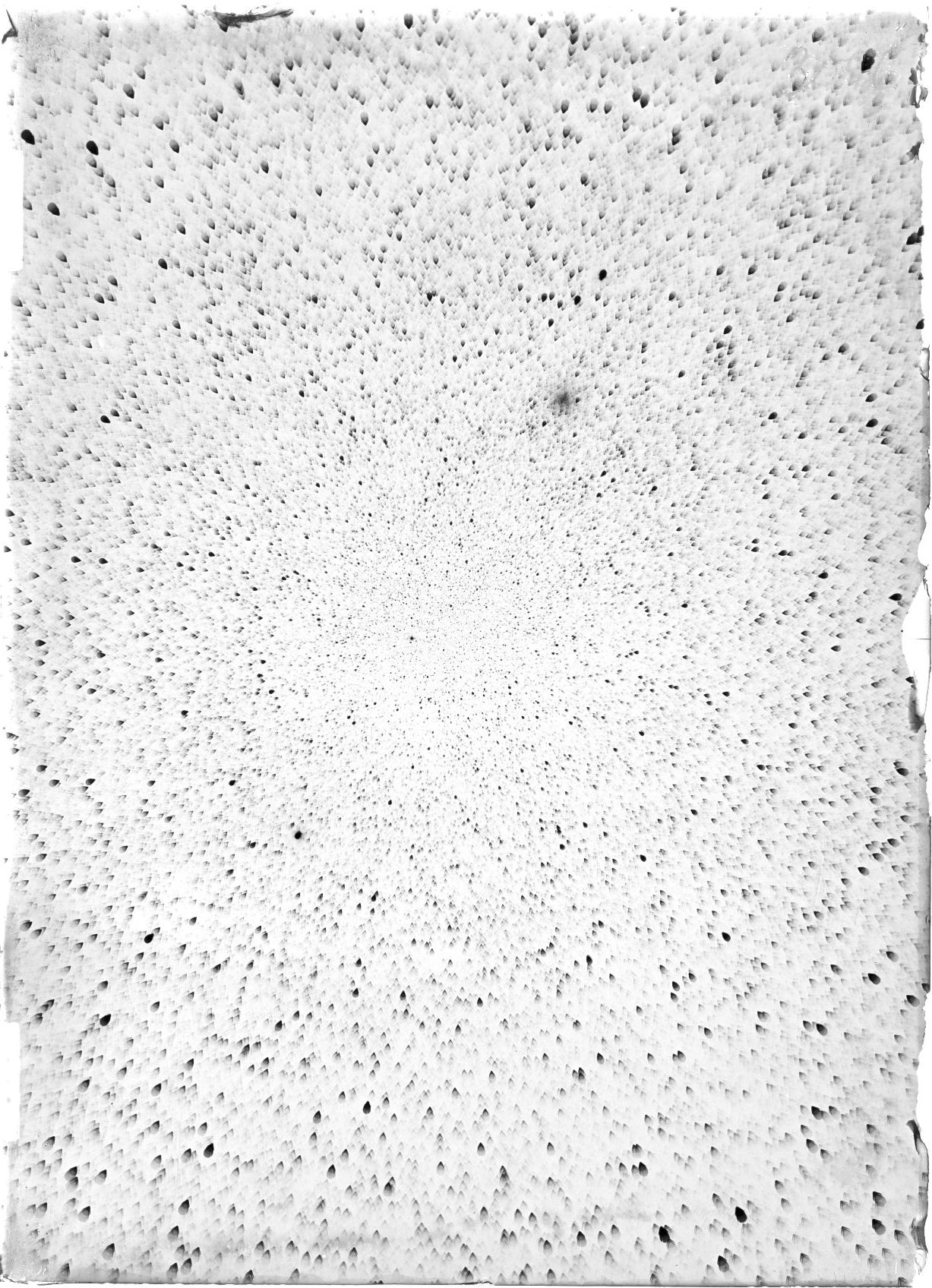Scan ST03096