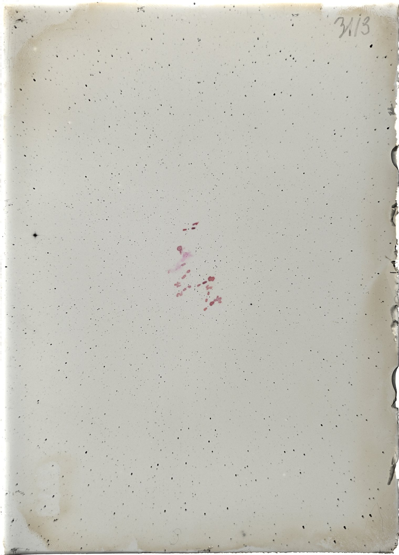 Scan ST03113