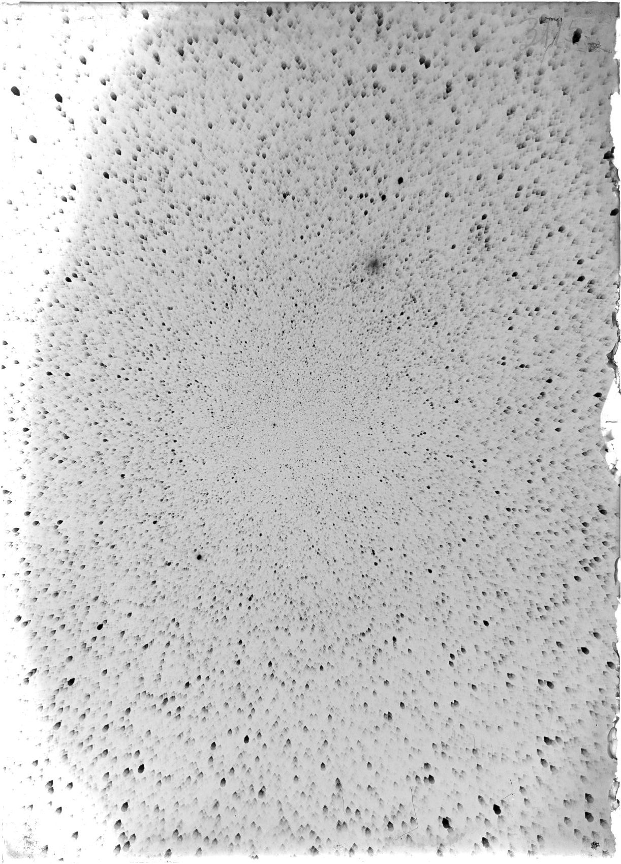 Scan ST03115