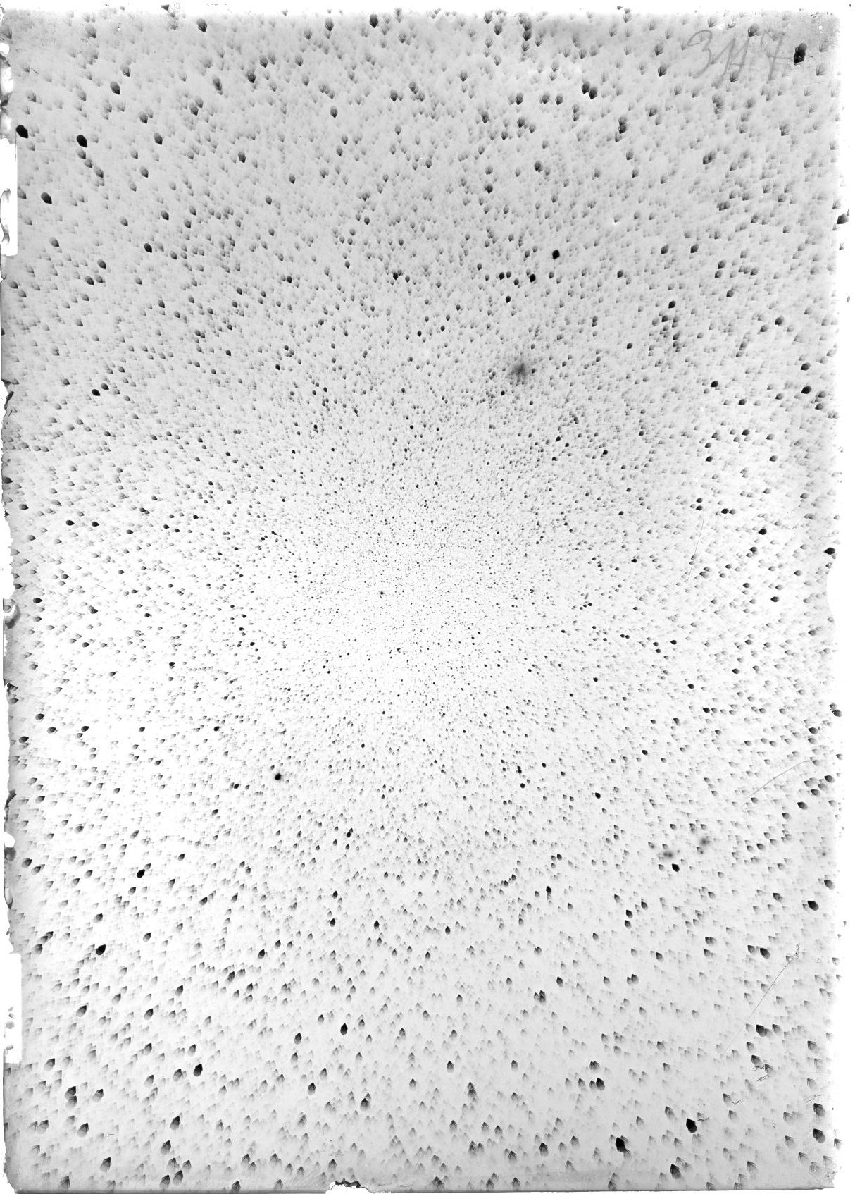 Scan ST03117