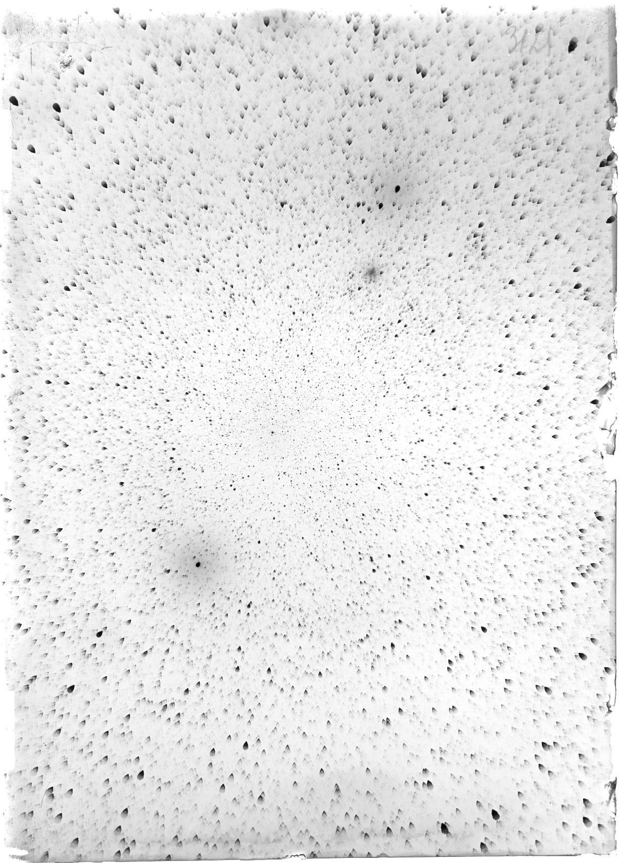 Scan ST03121