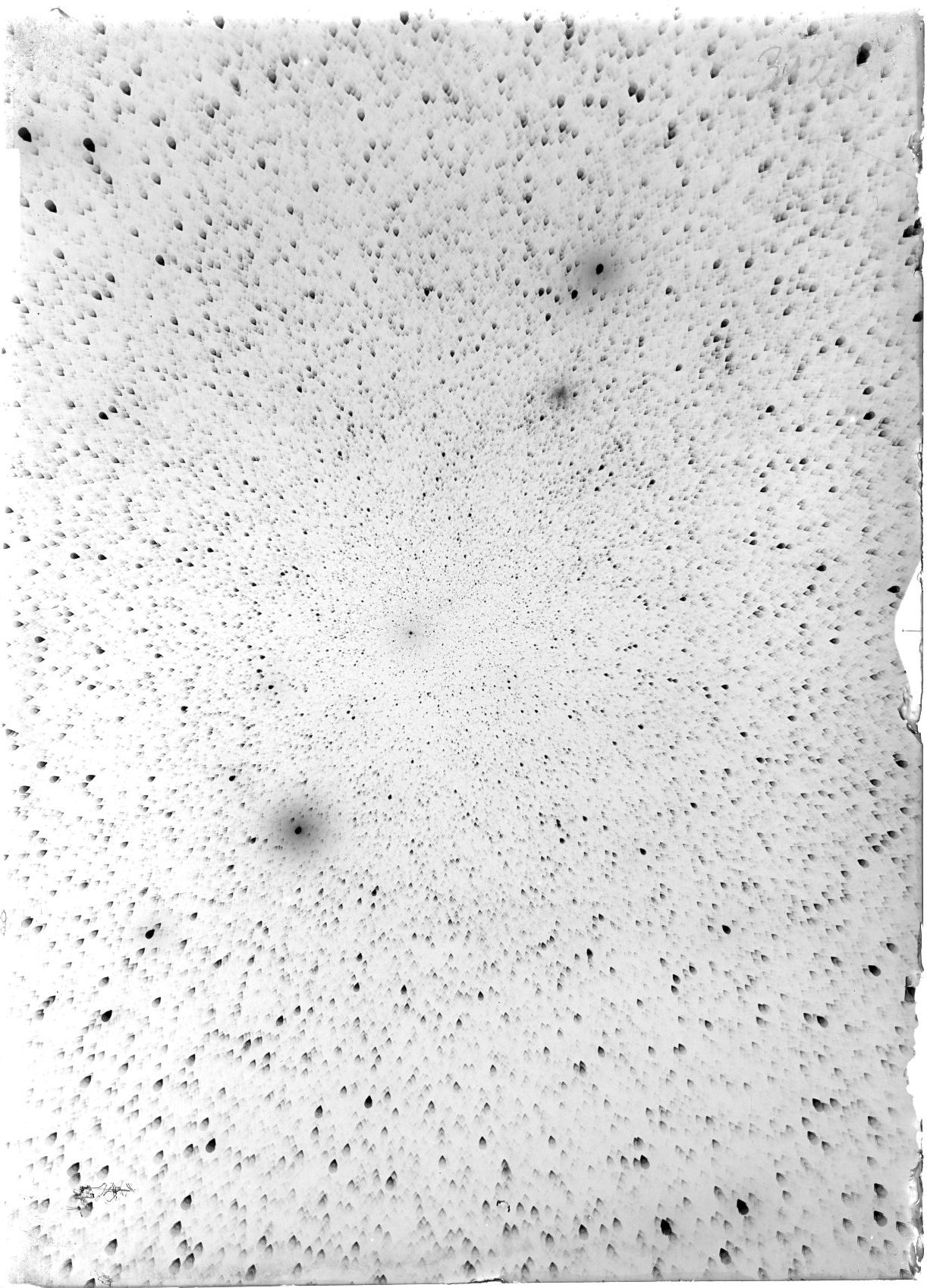 Scan ST03123