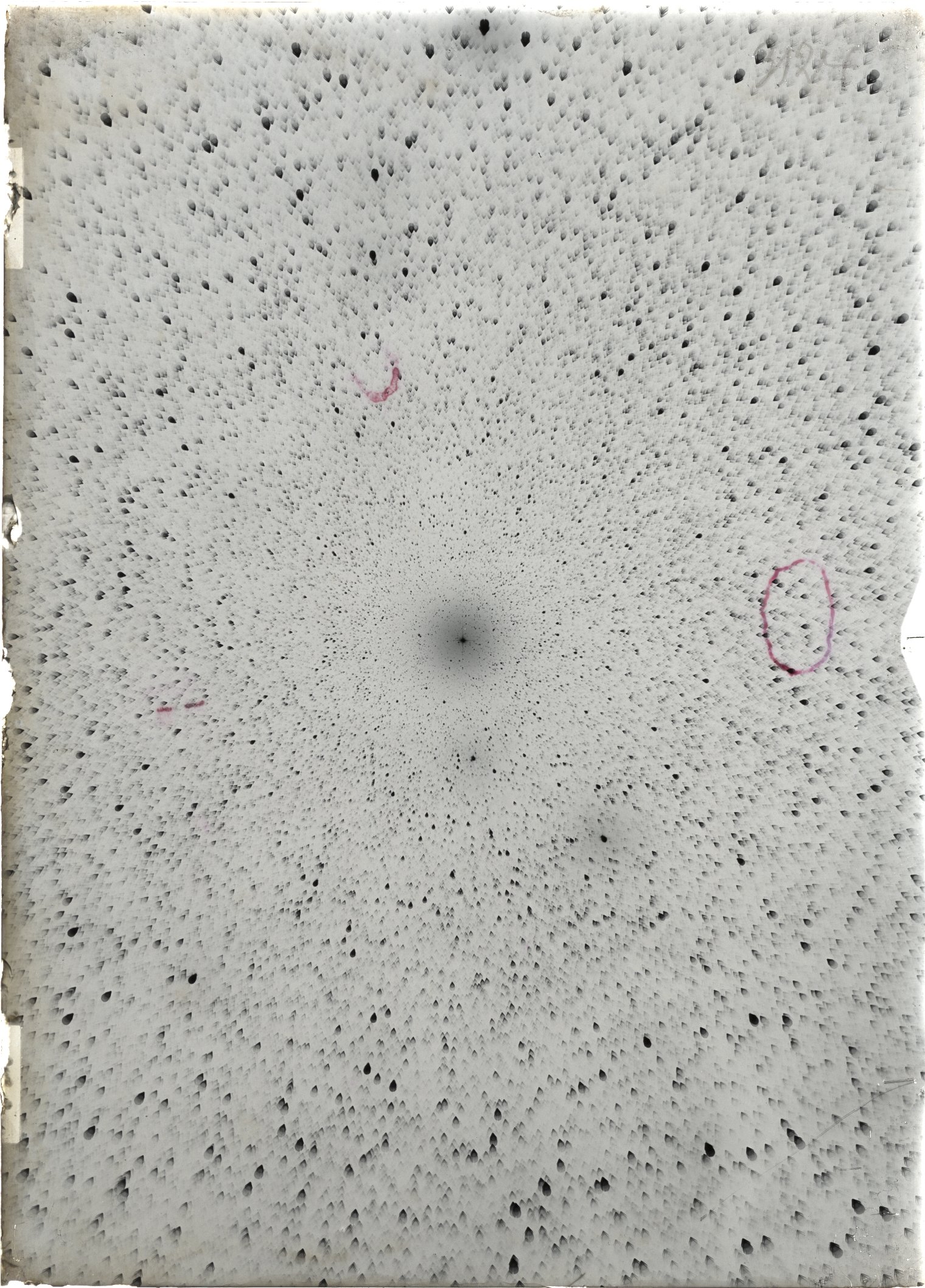 Scan ST03124