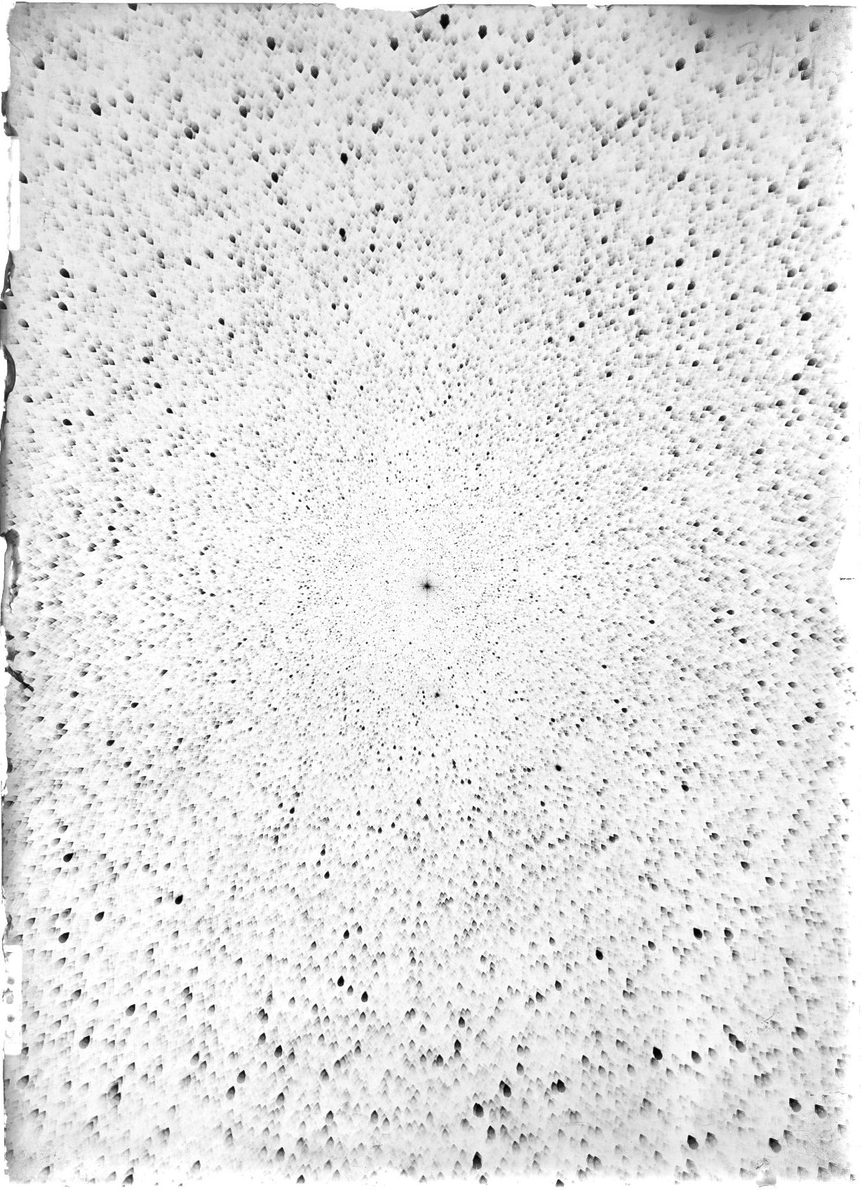 Scan ST03131