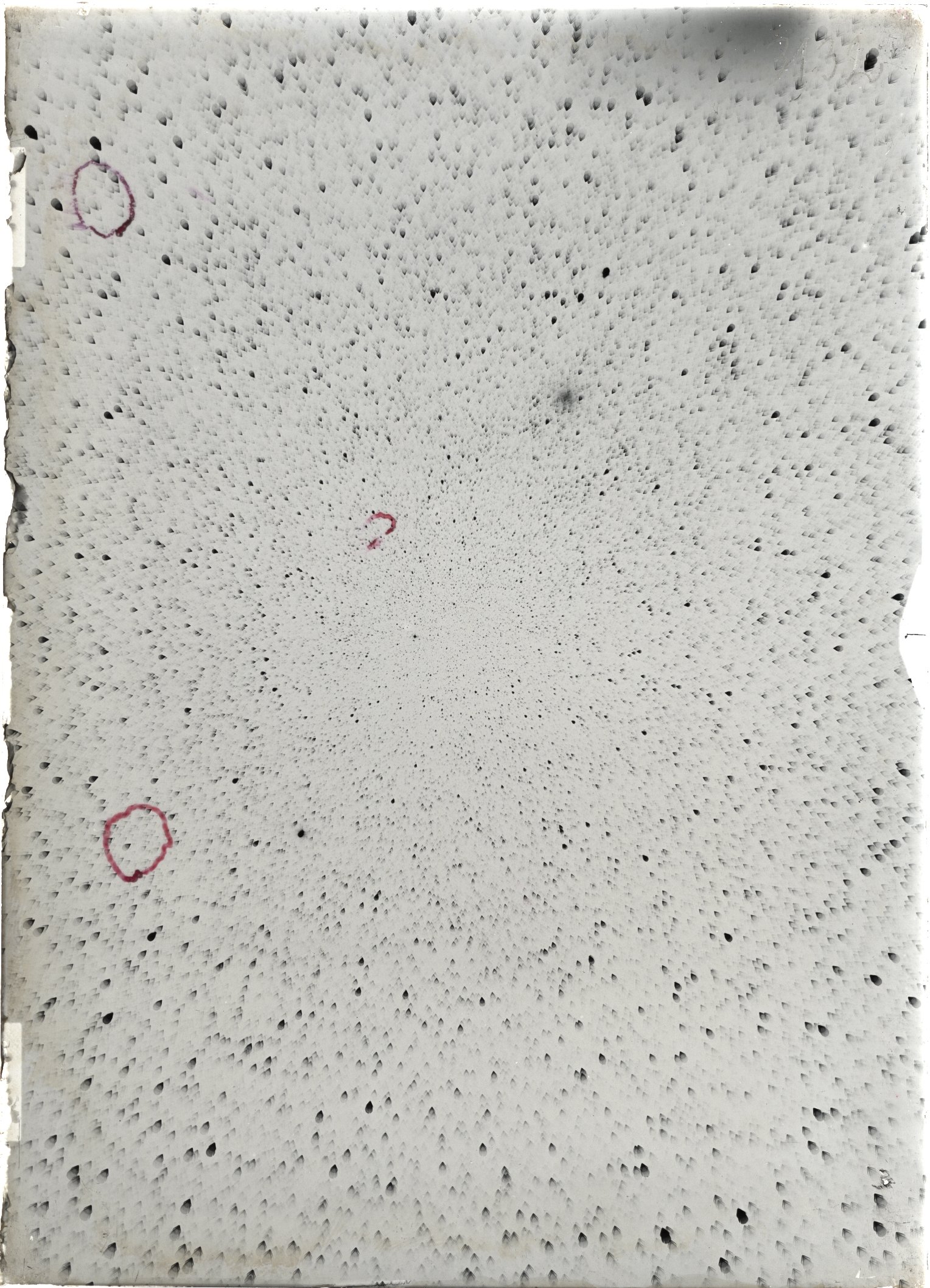 Scan ST03132