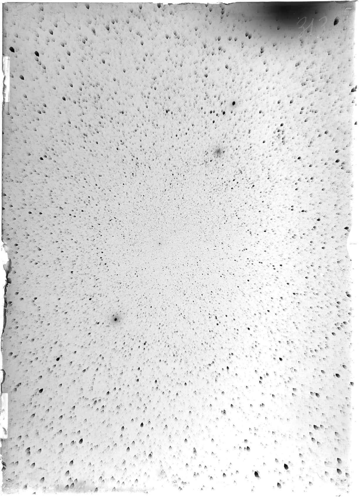 Scan ST03134