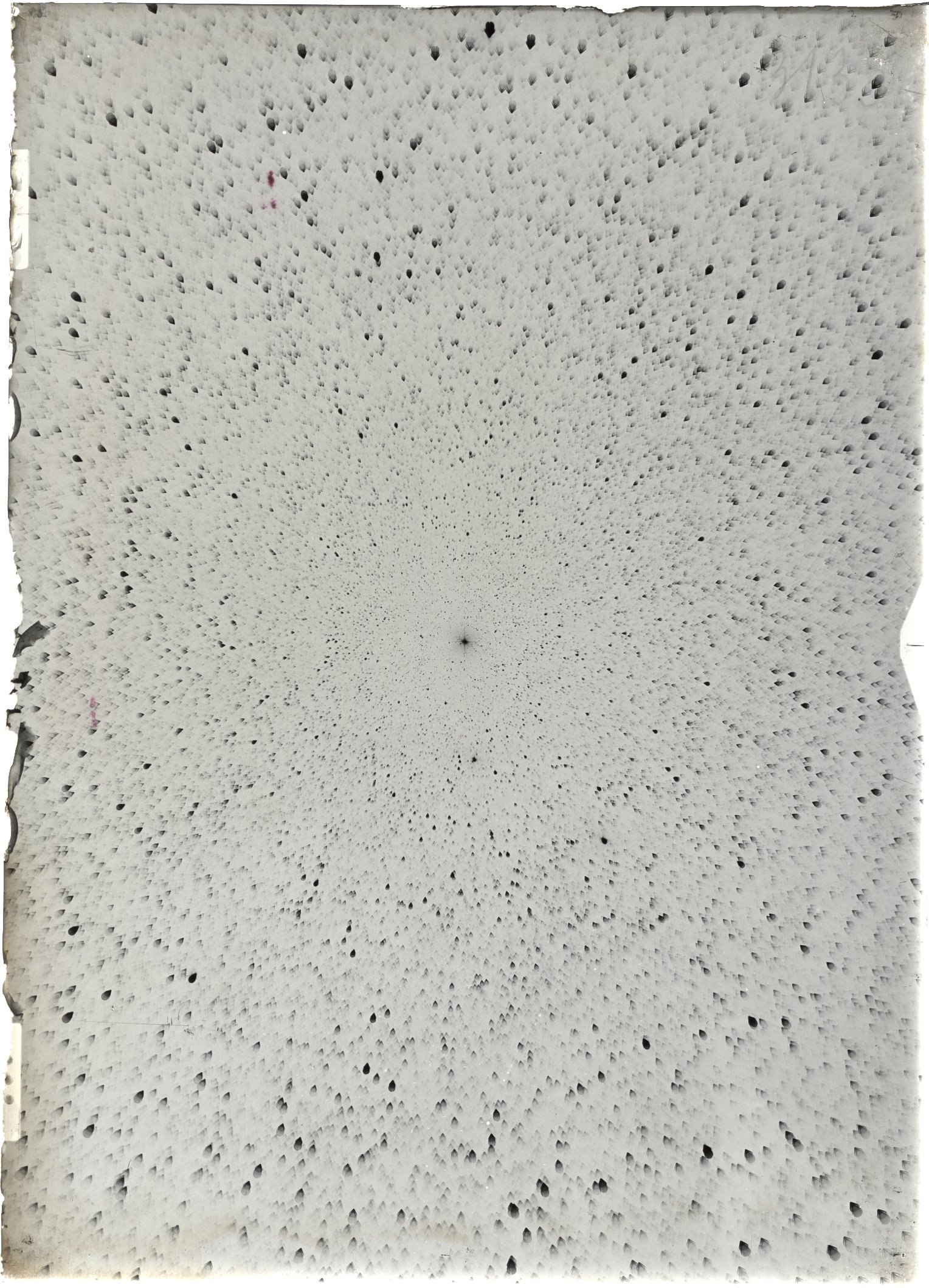 Scan ST03135