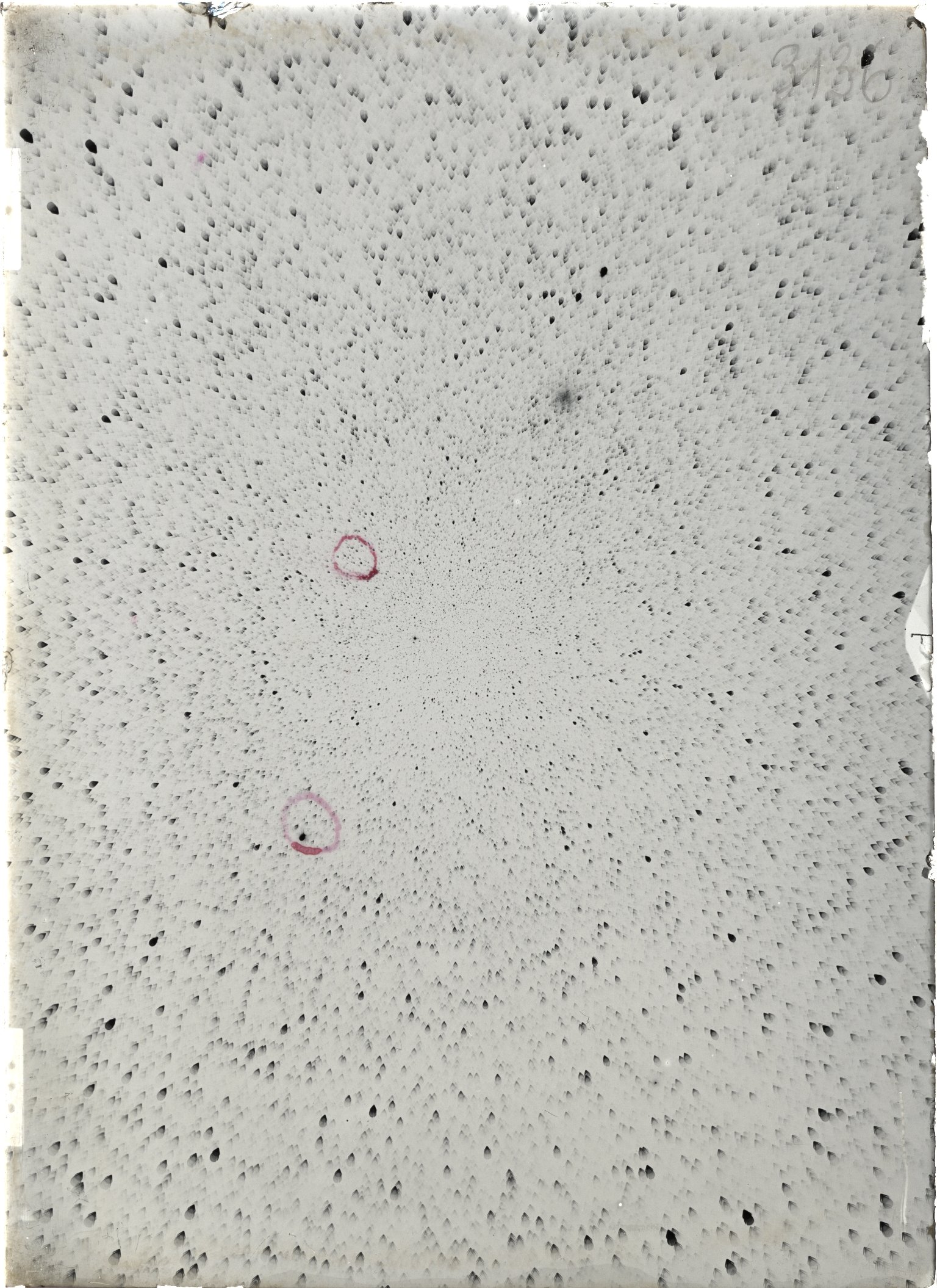 Scan ST03136