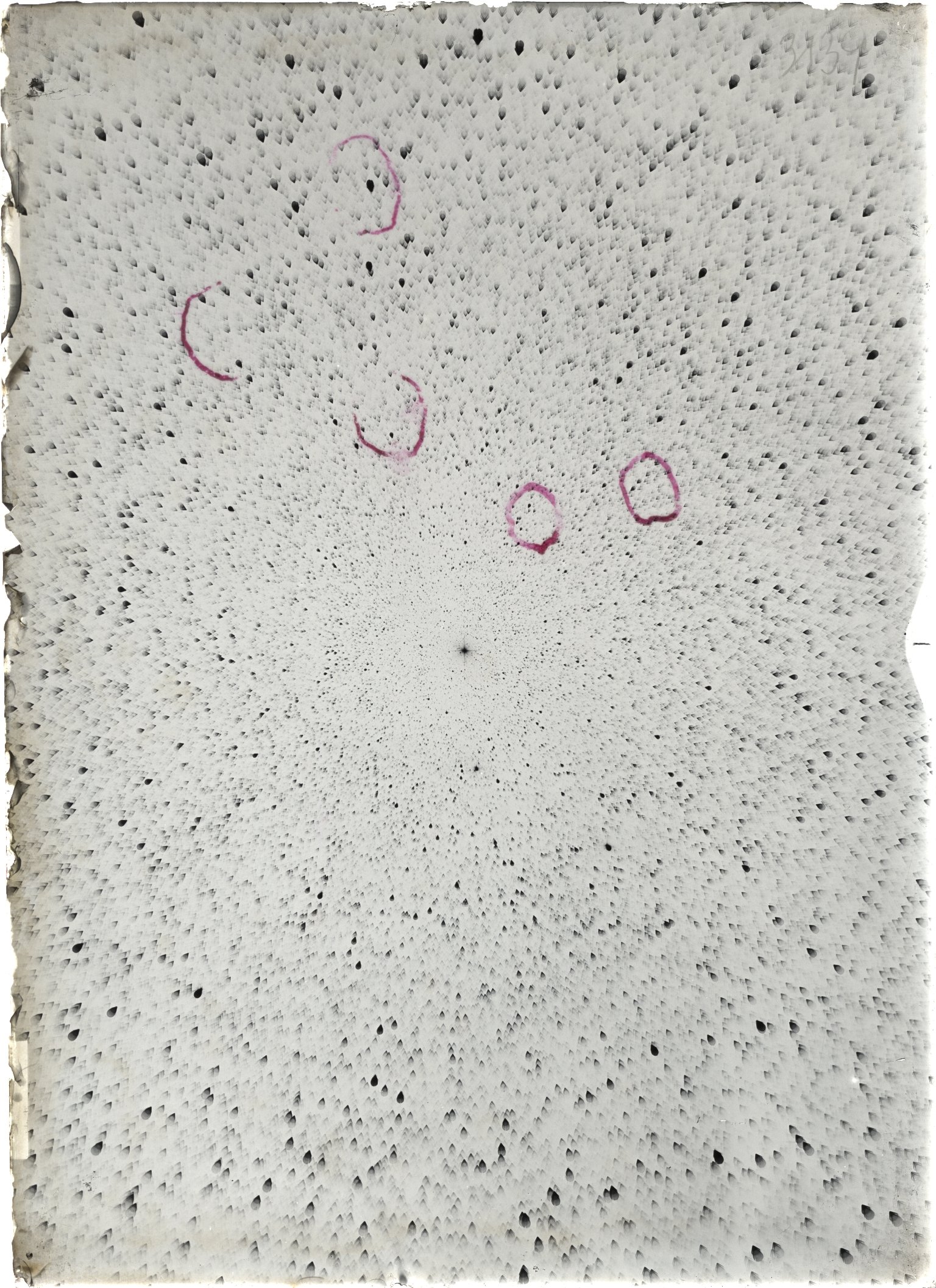 Scan ST03139