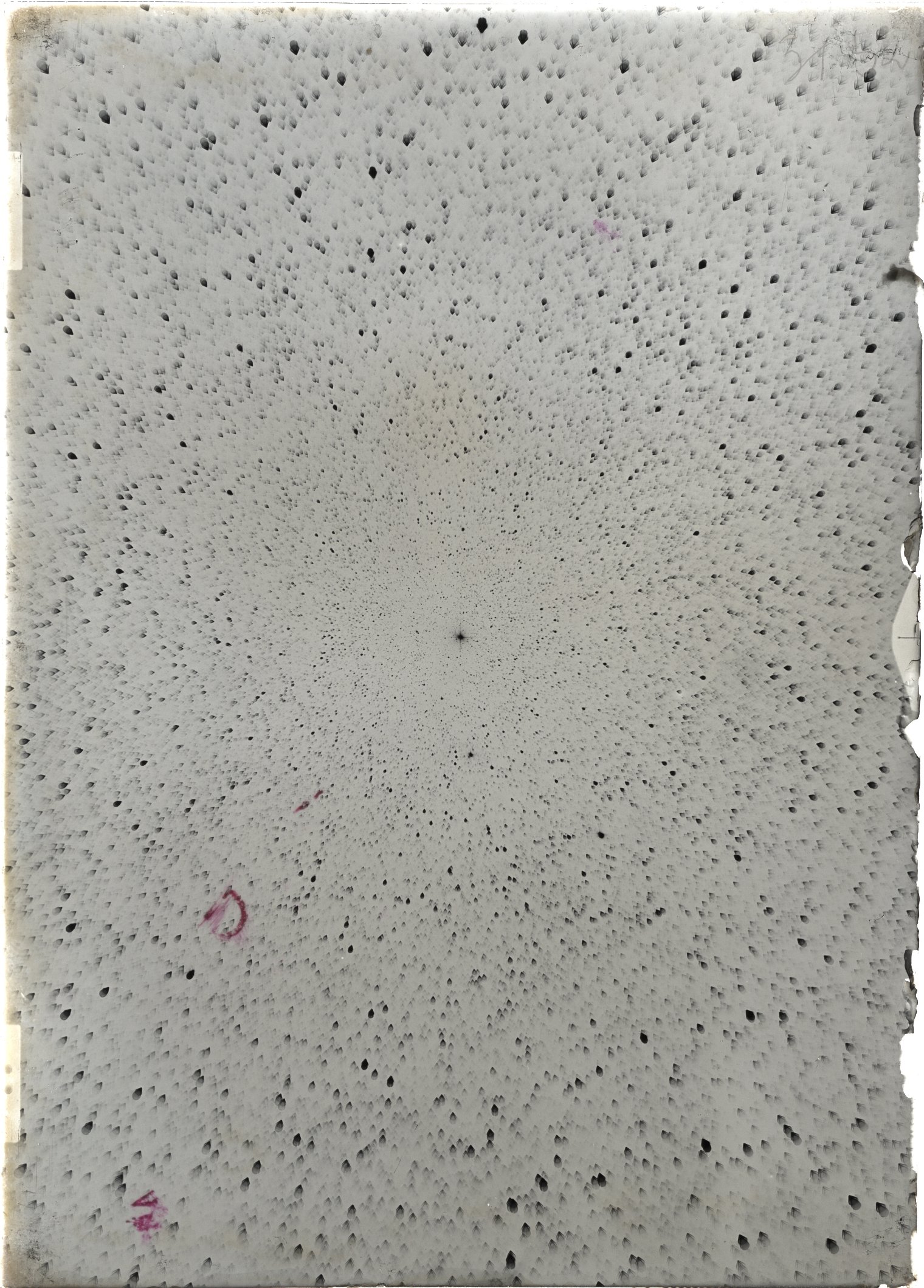 Scan ST03152