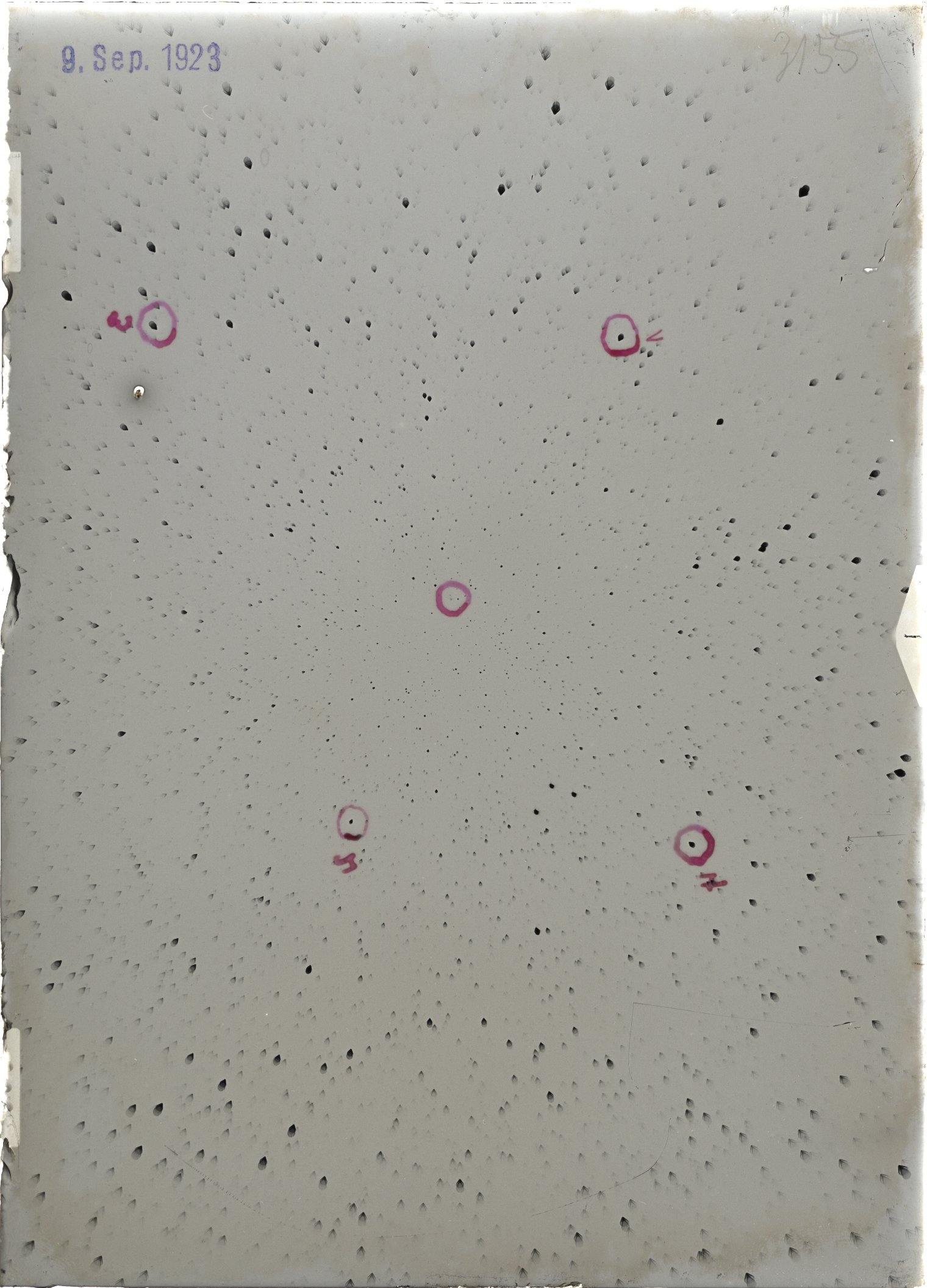 Scan ST03155