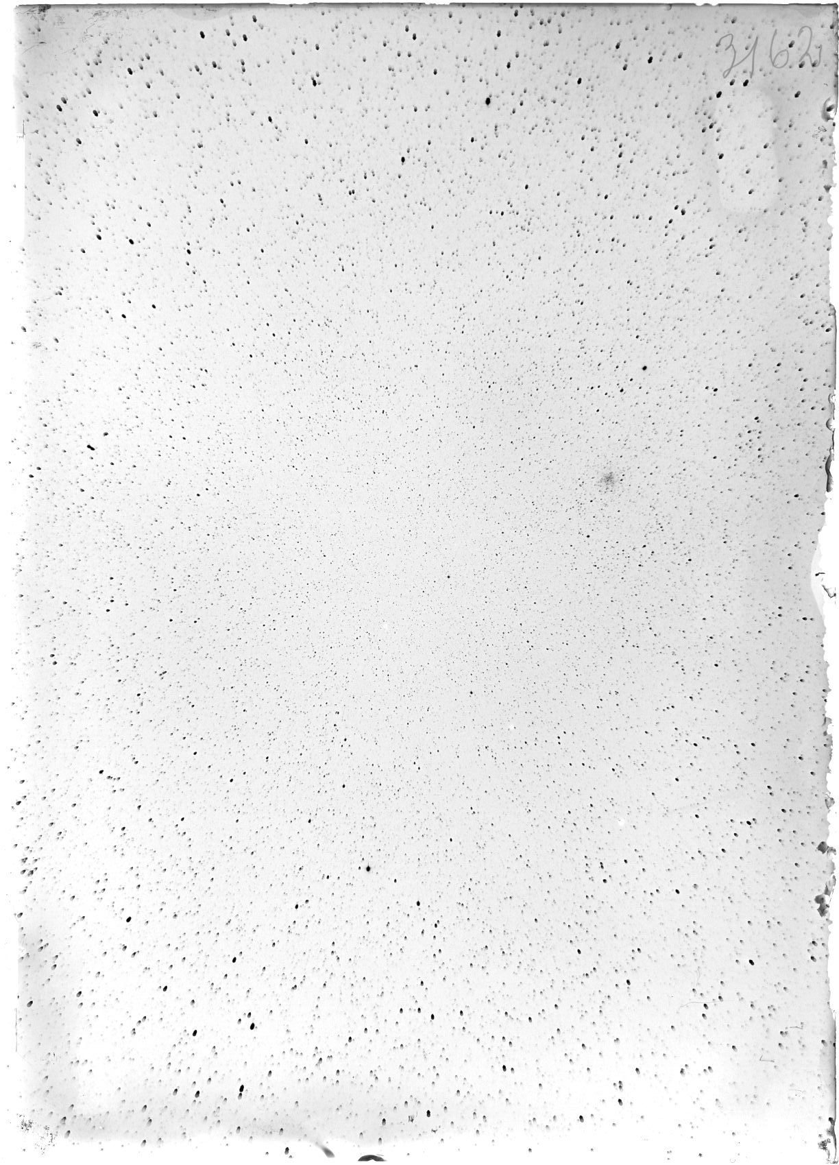 Scan ST03162