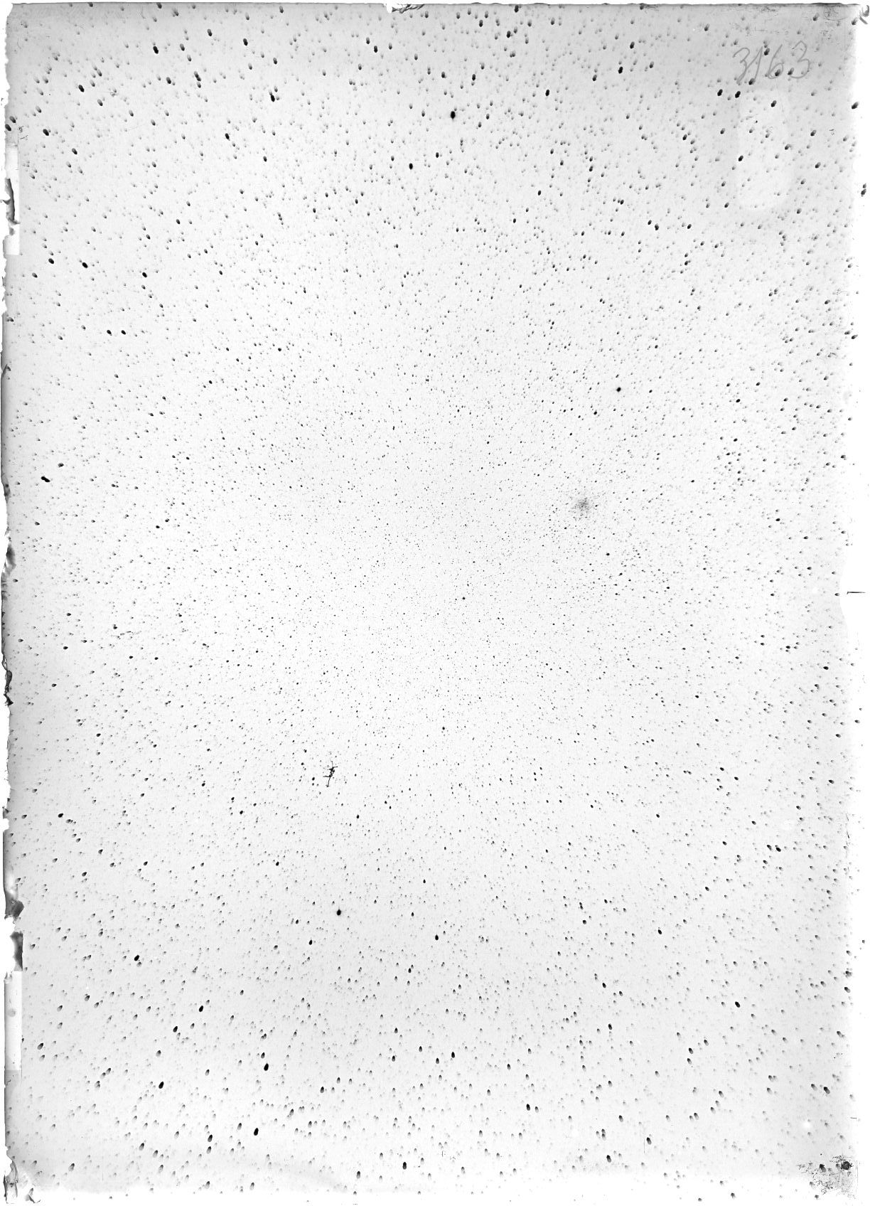 Scan ST03163