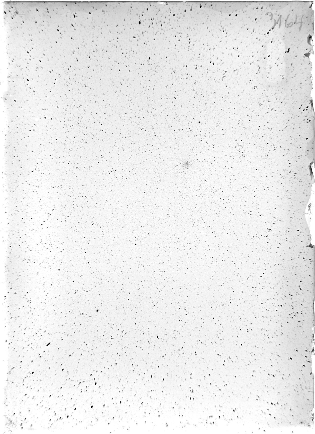 Scan ST03164
