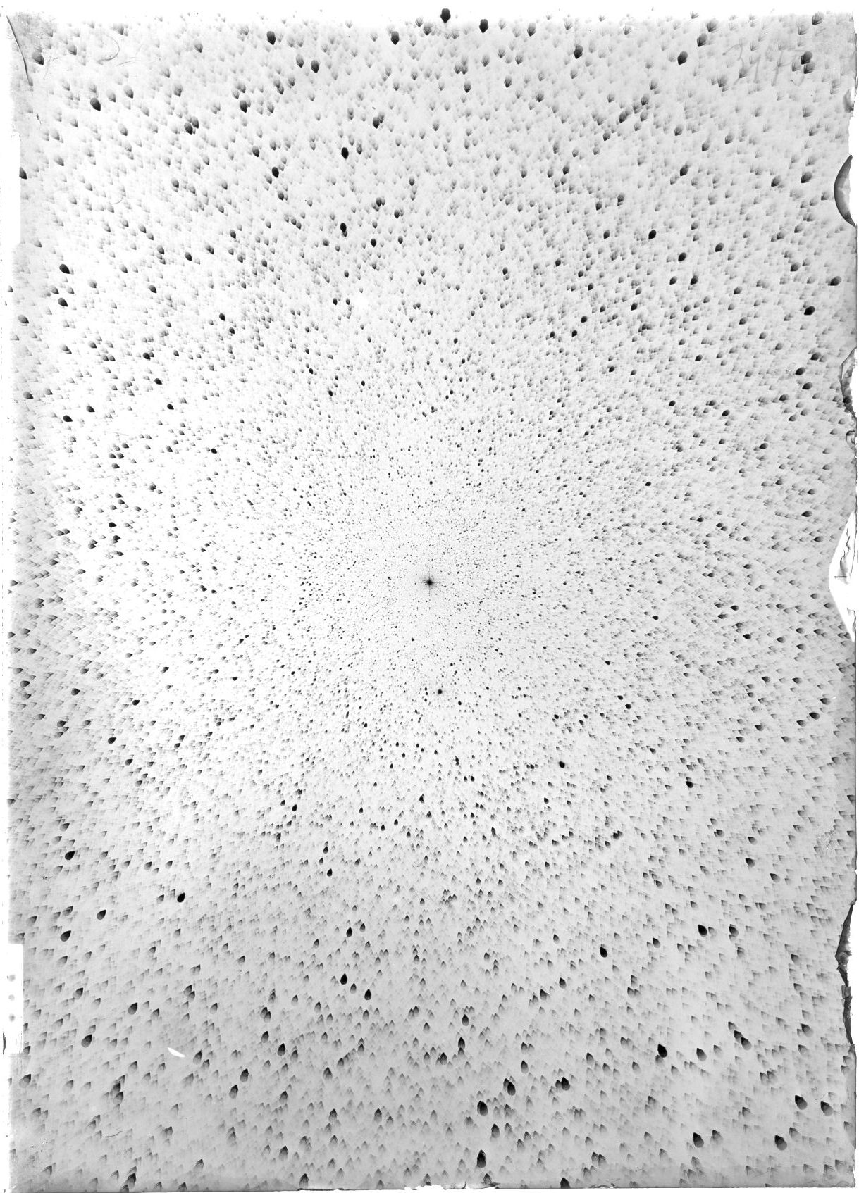 Scan ST03175