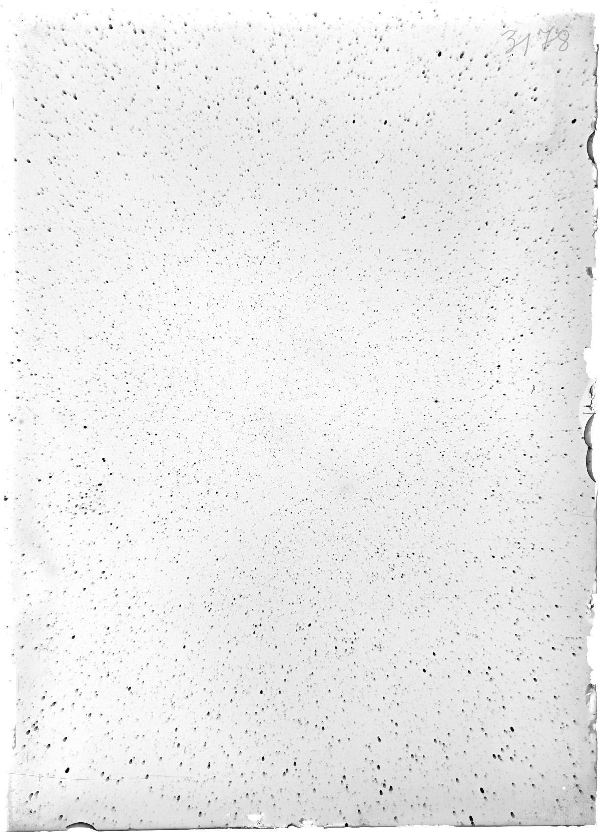 Scan ST03178