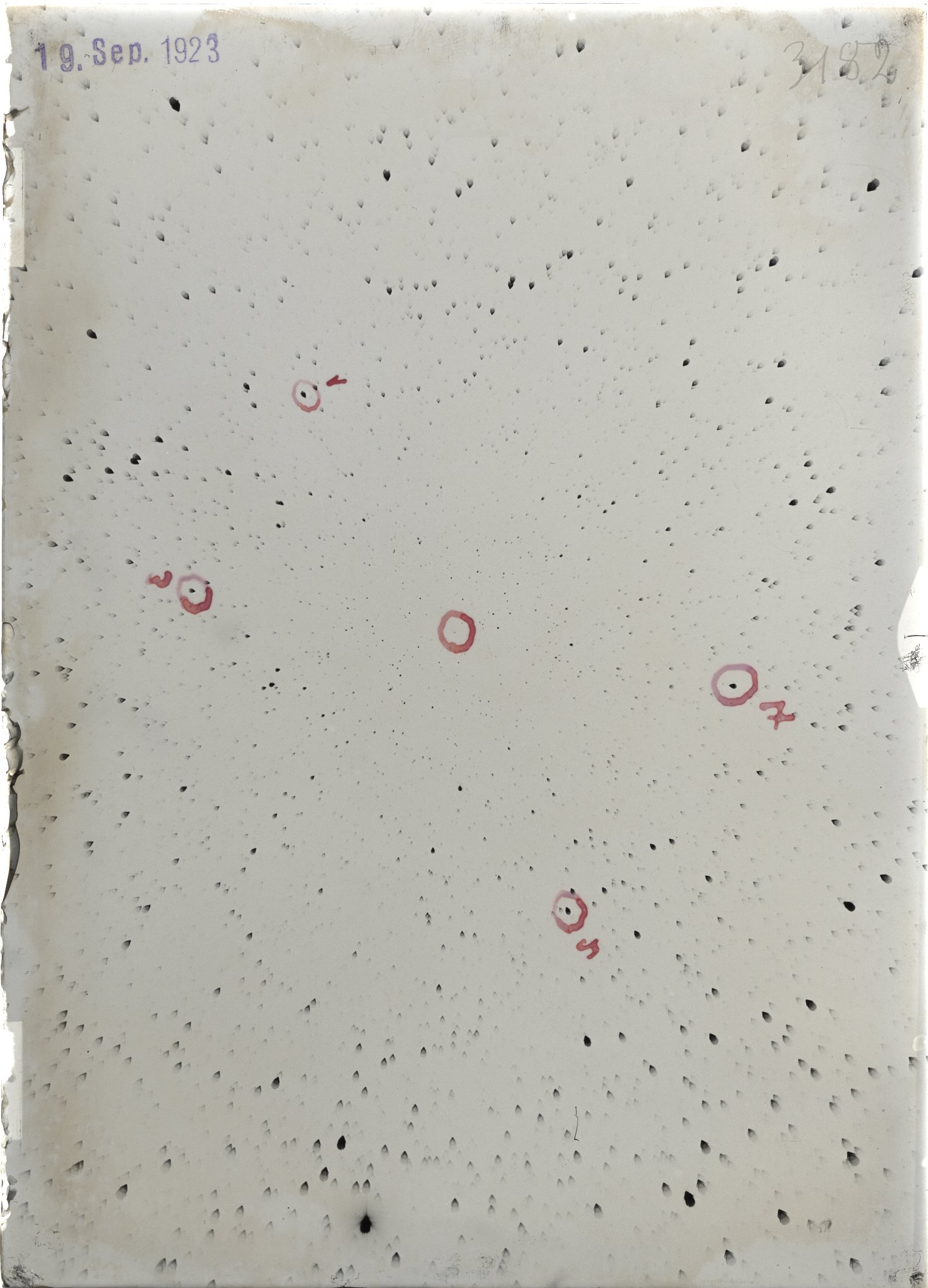 Scan ST03182