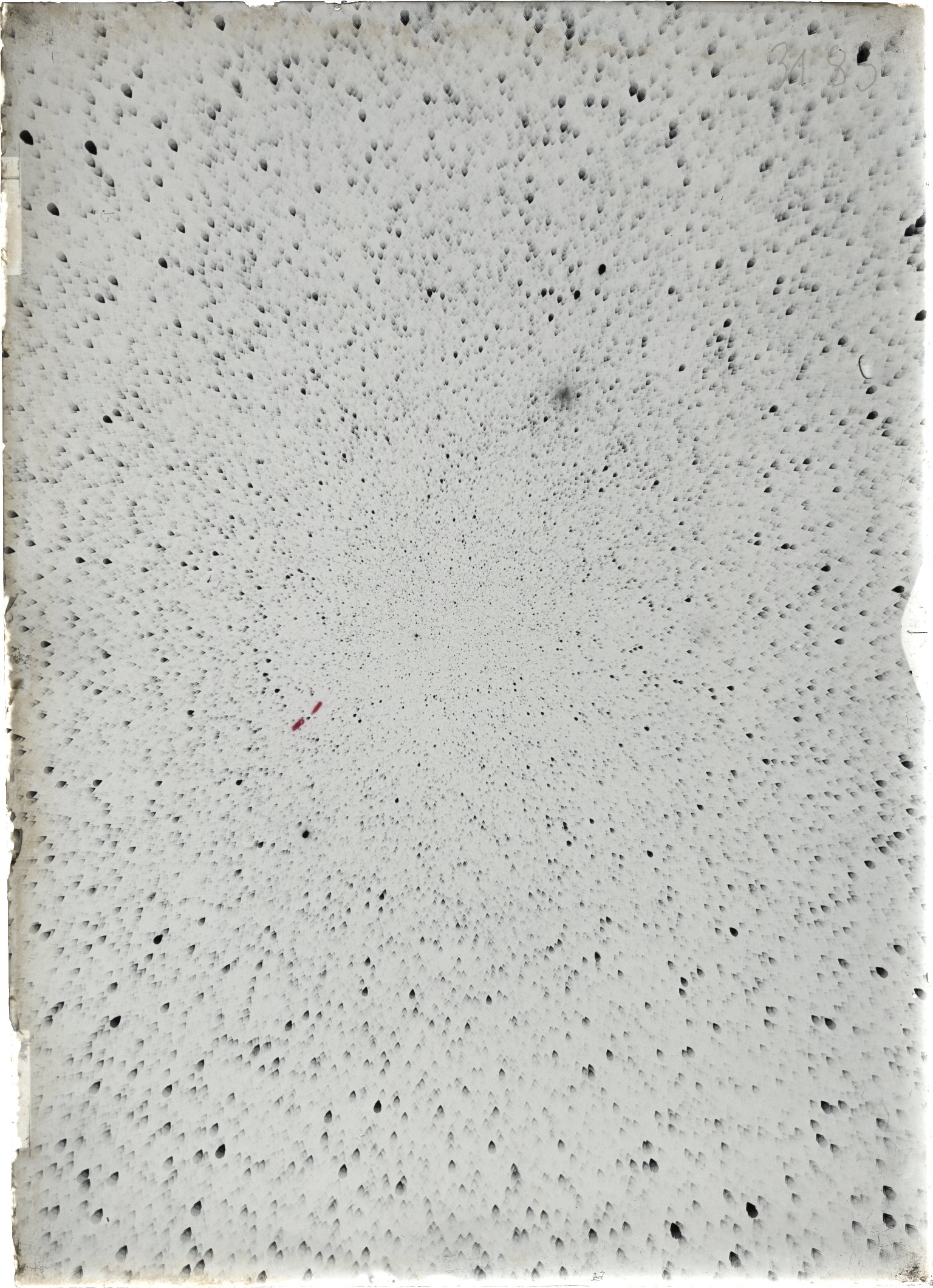 Scan ST03183