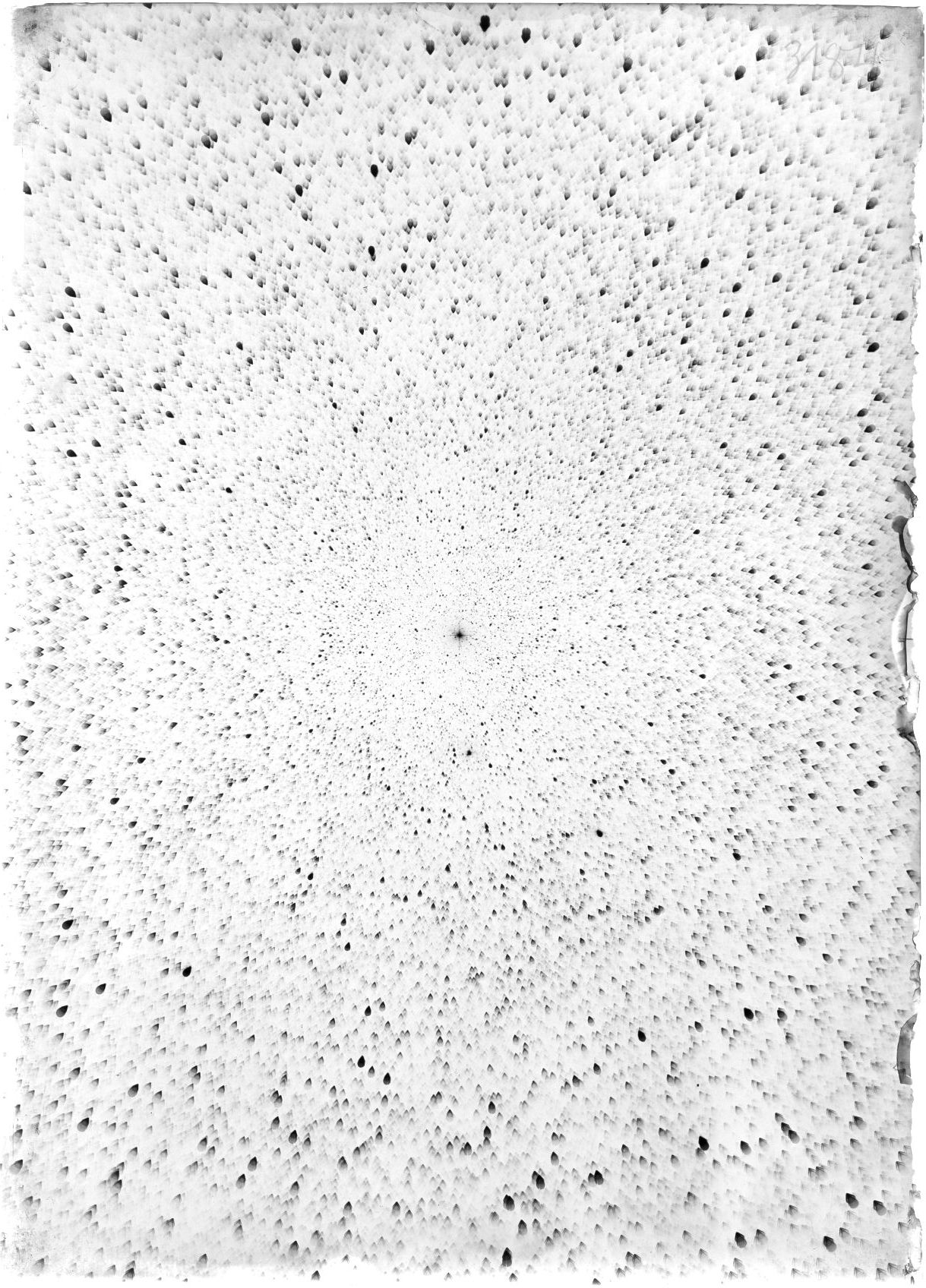 Scan ST03184