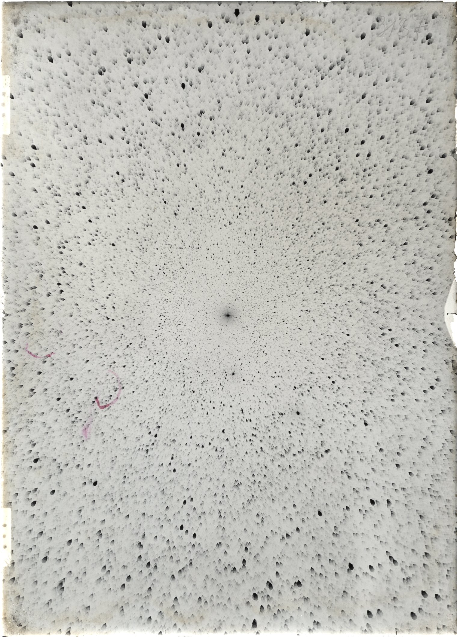 Scan ST03187