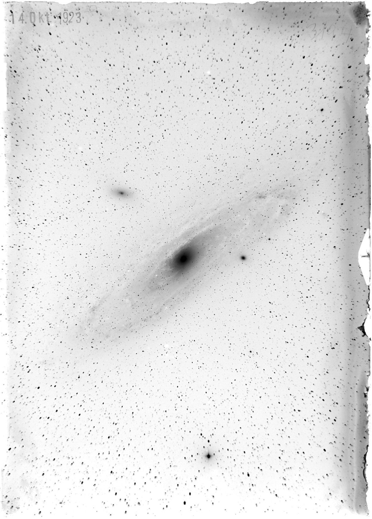 Scan ST03194