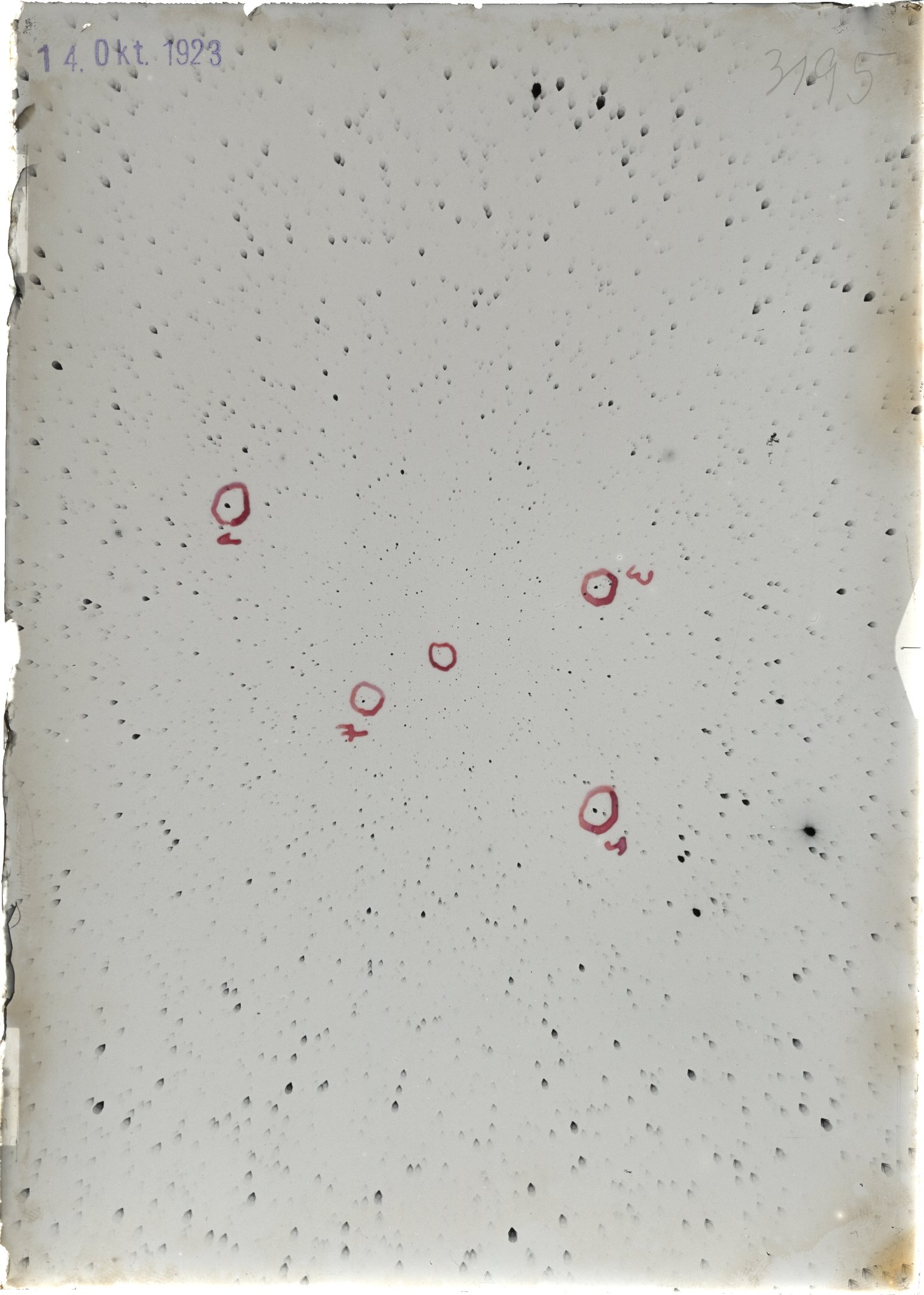 Scan ST03195