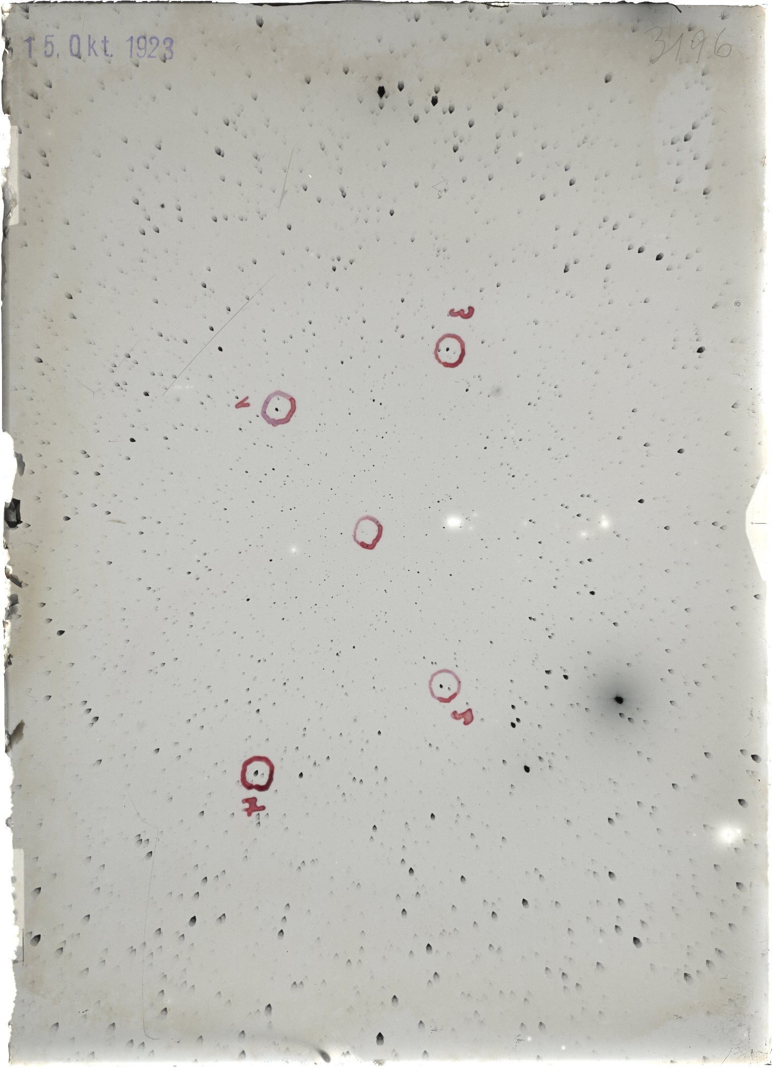 Scan ST03196