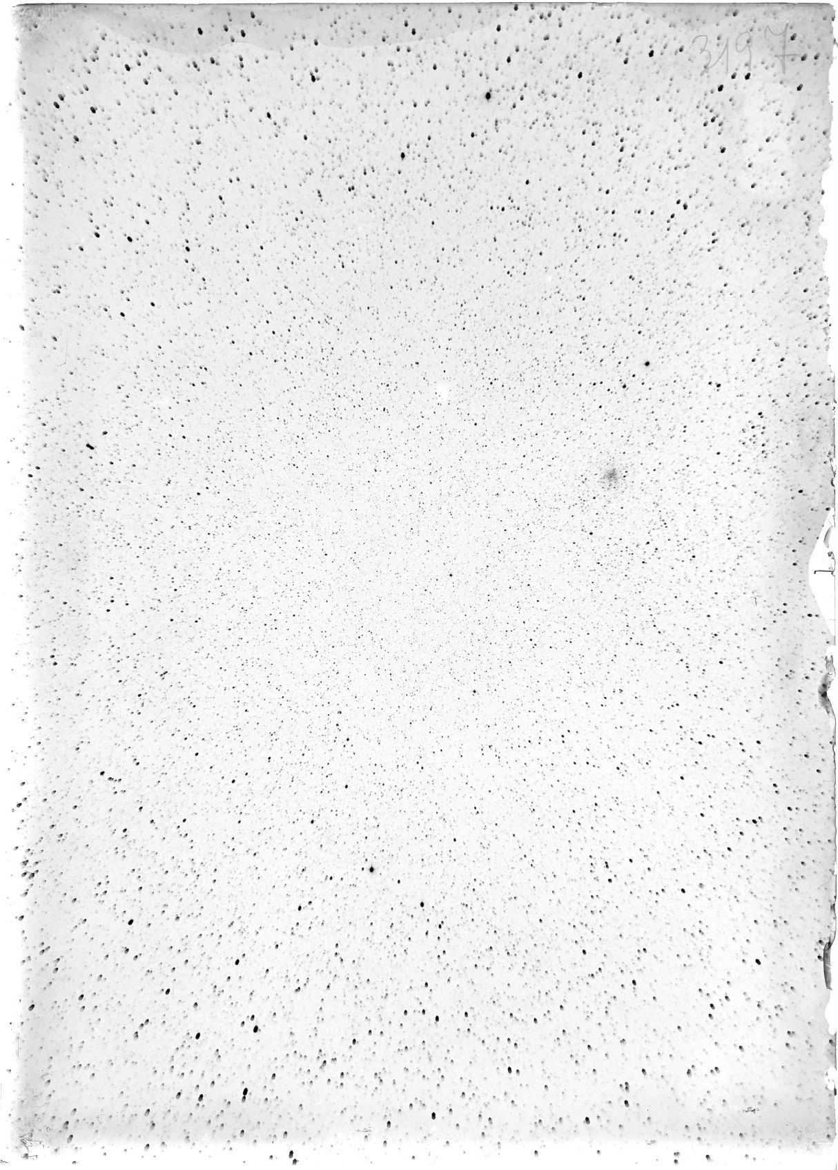 Scan ST03197