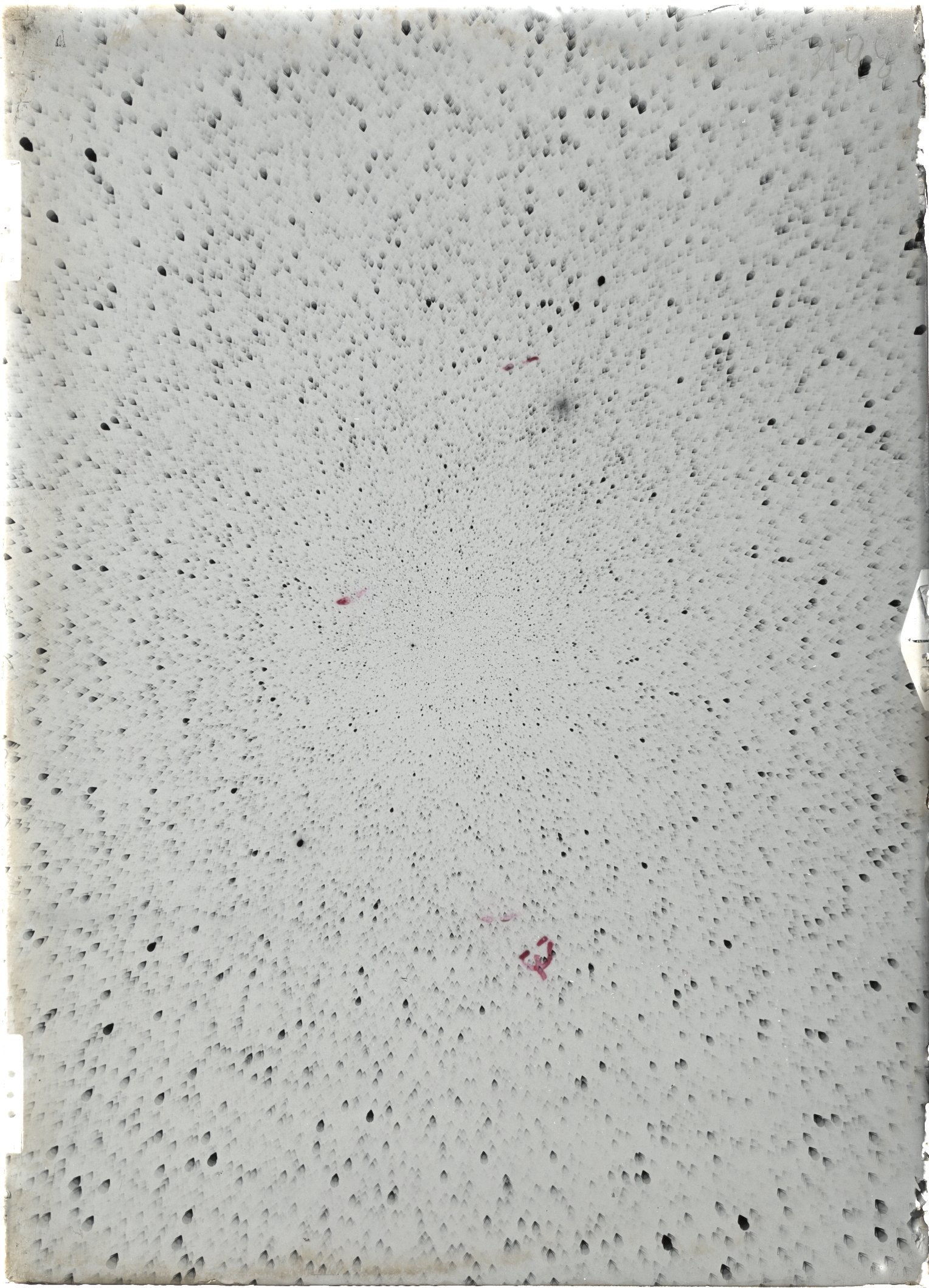 Scan ST03198