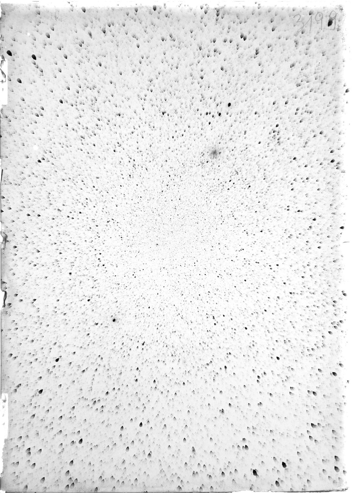 Scan ST03199