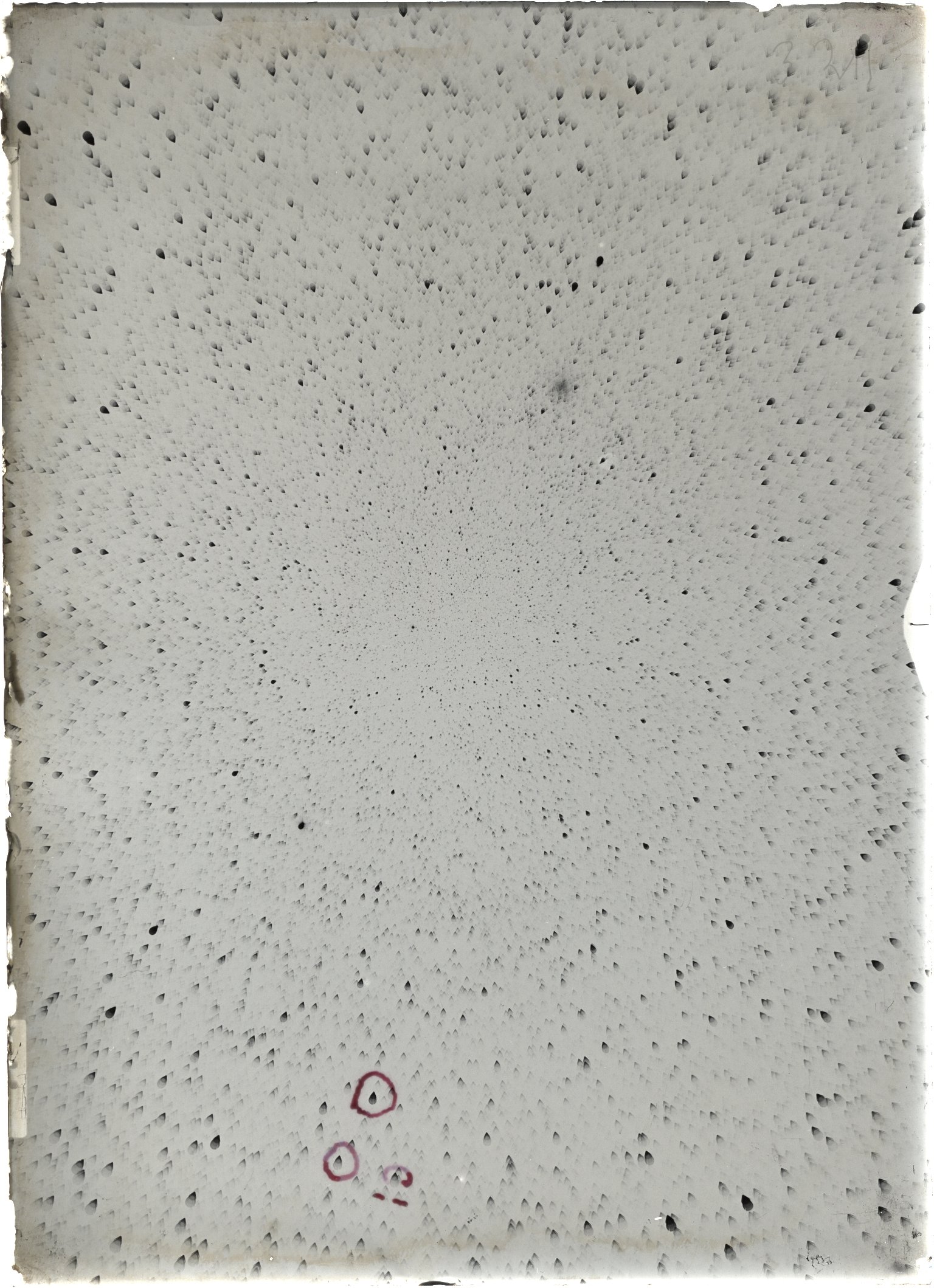Scan ST03211