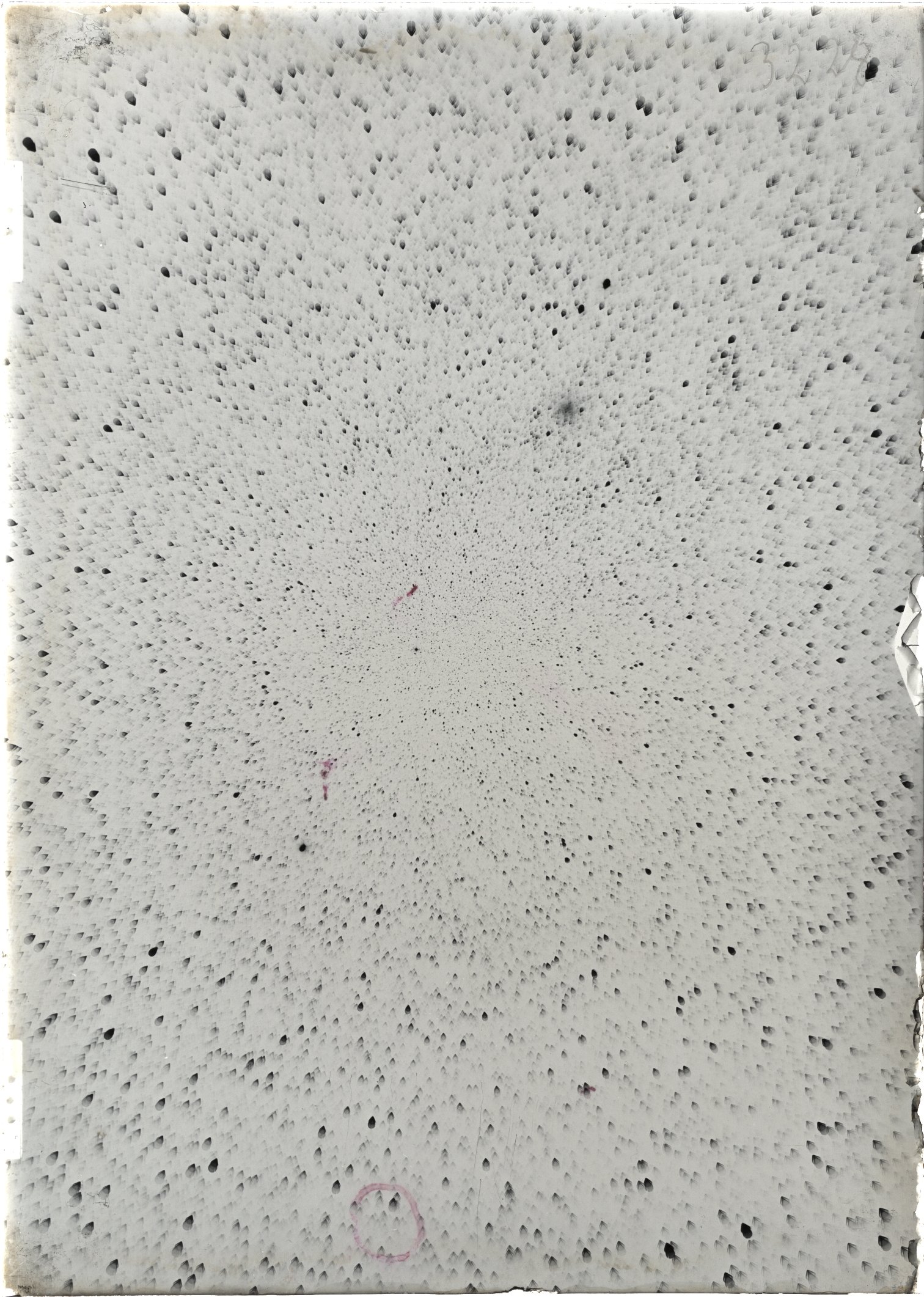 Scan ST03228