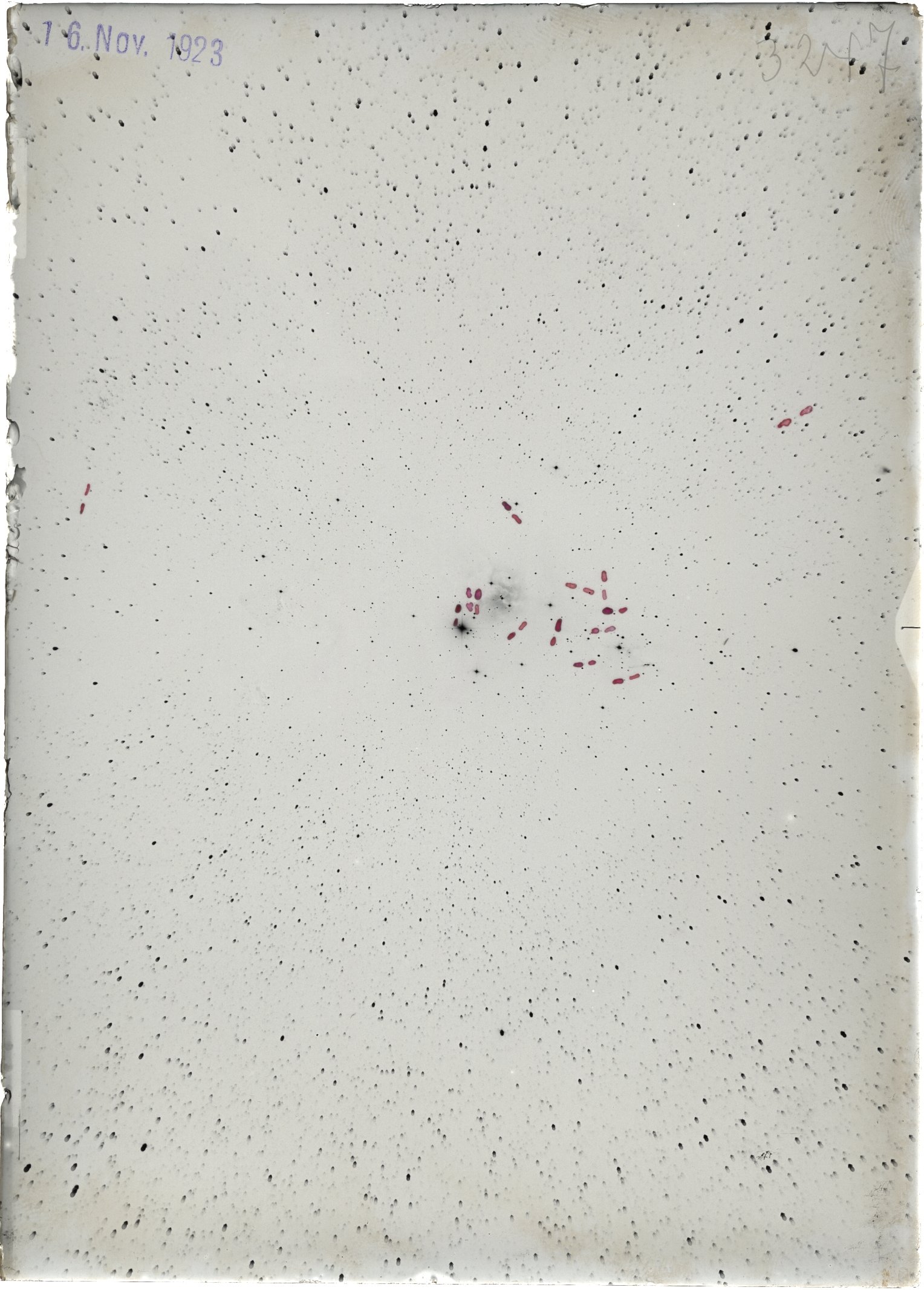 Scan ST03247