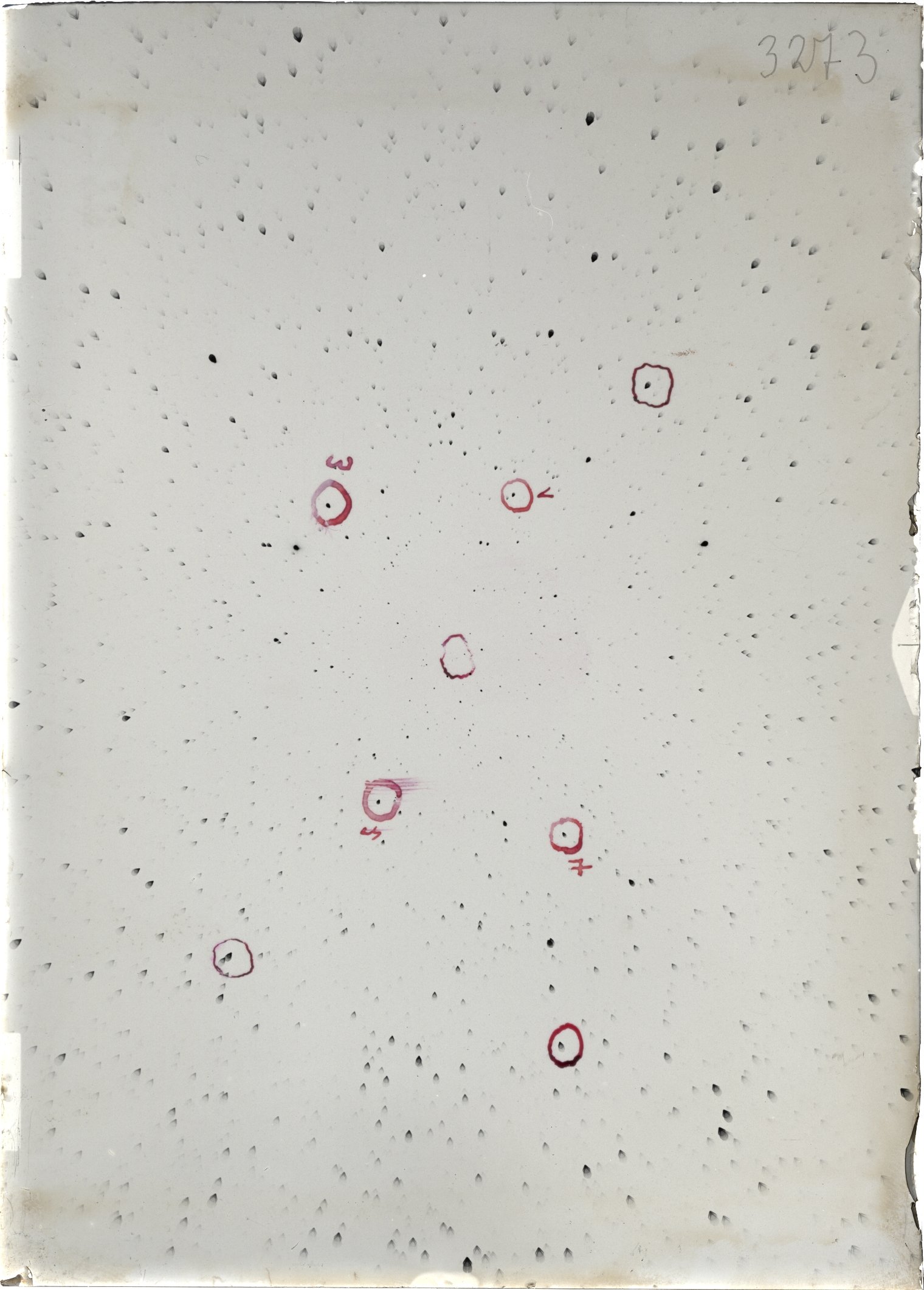 Scan ST03273