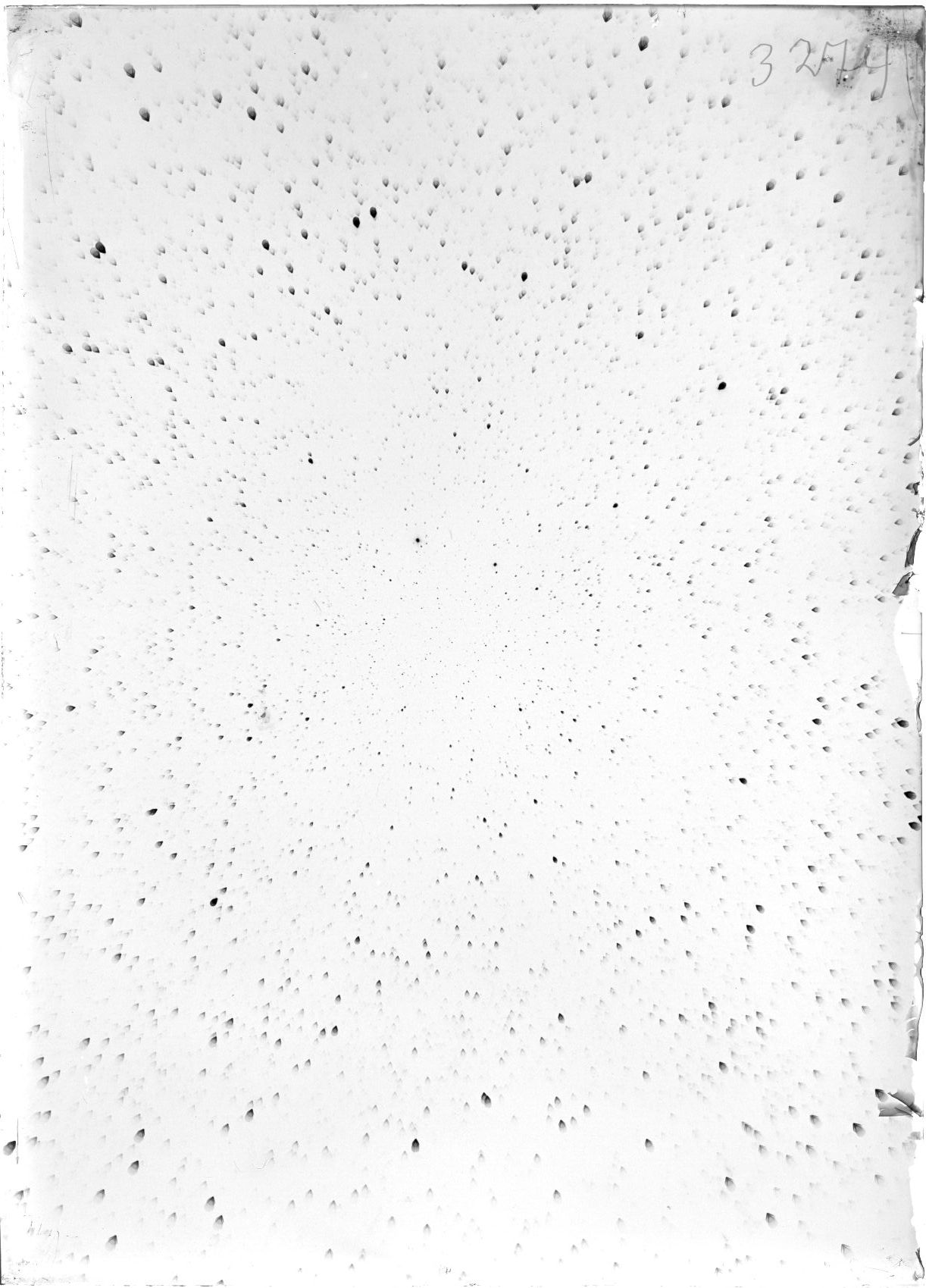 Scan ST03274