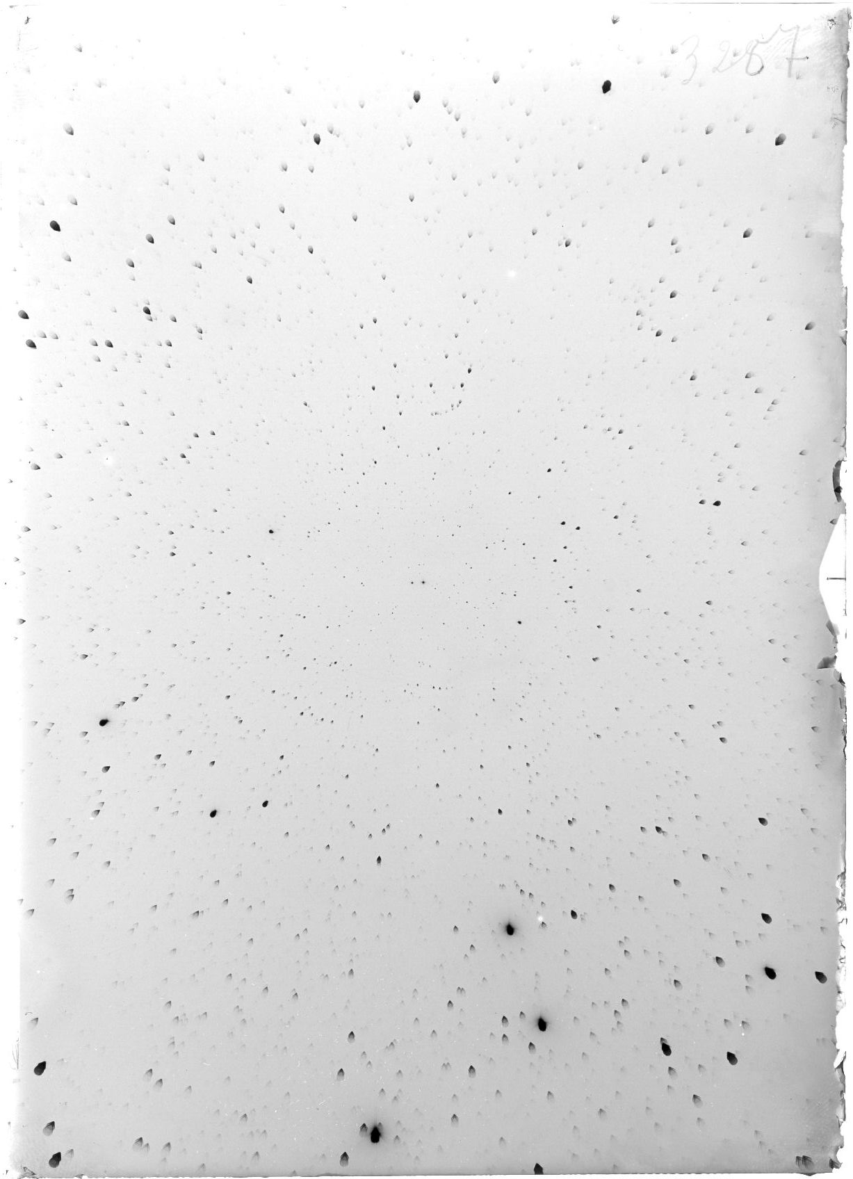 Scan ST03287