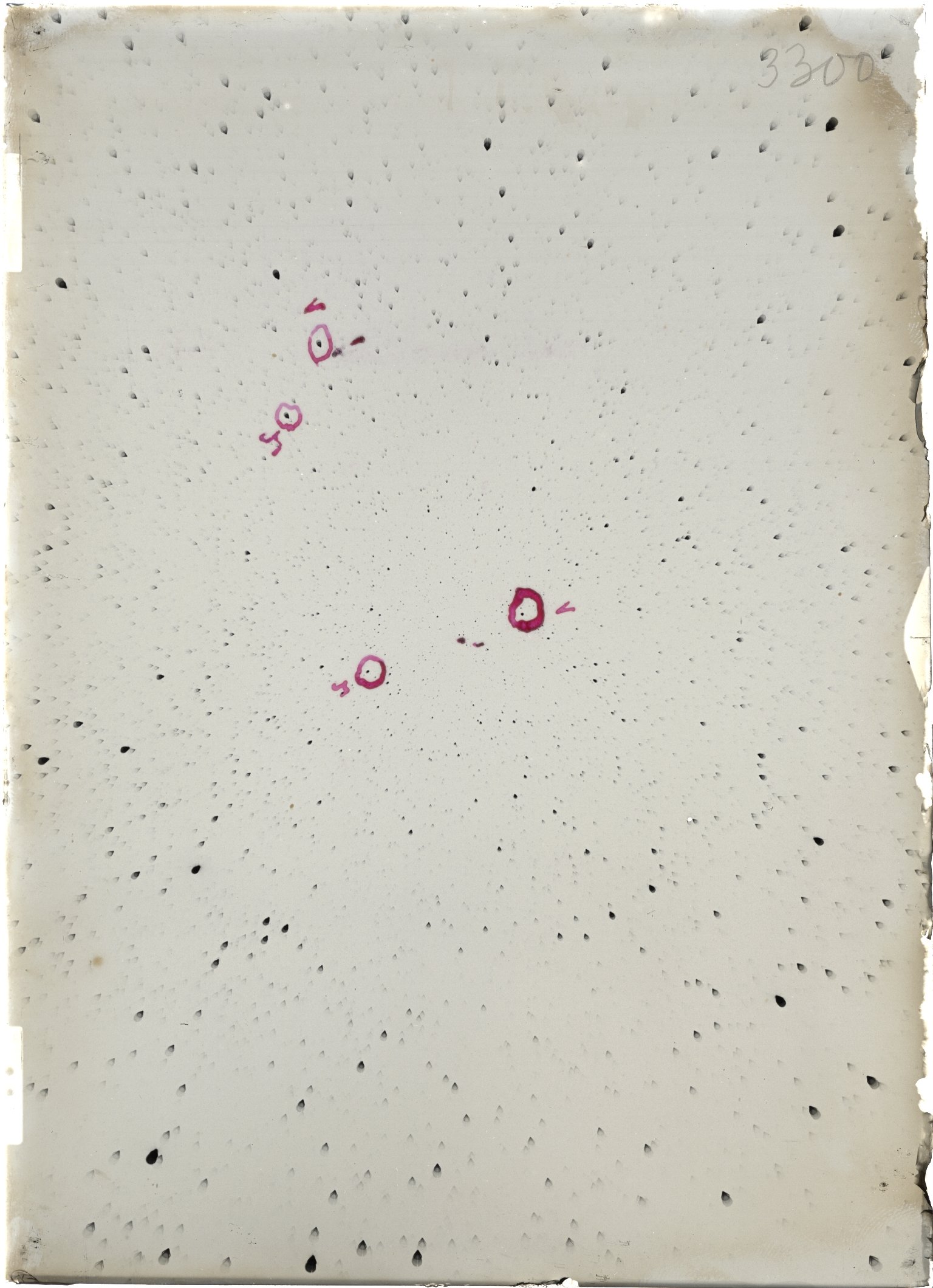 Scan ST03300