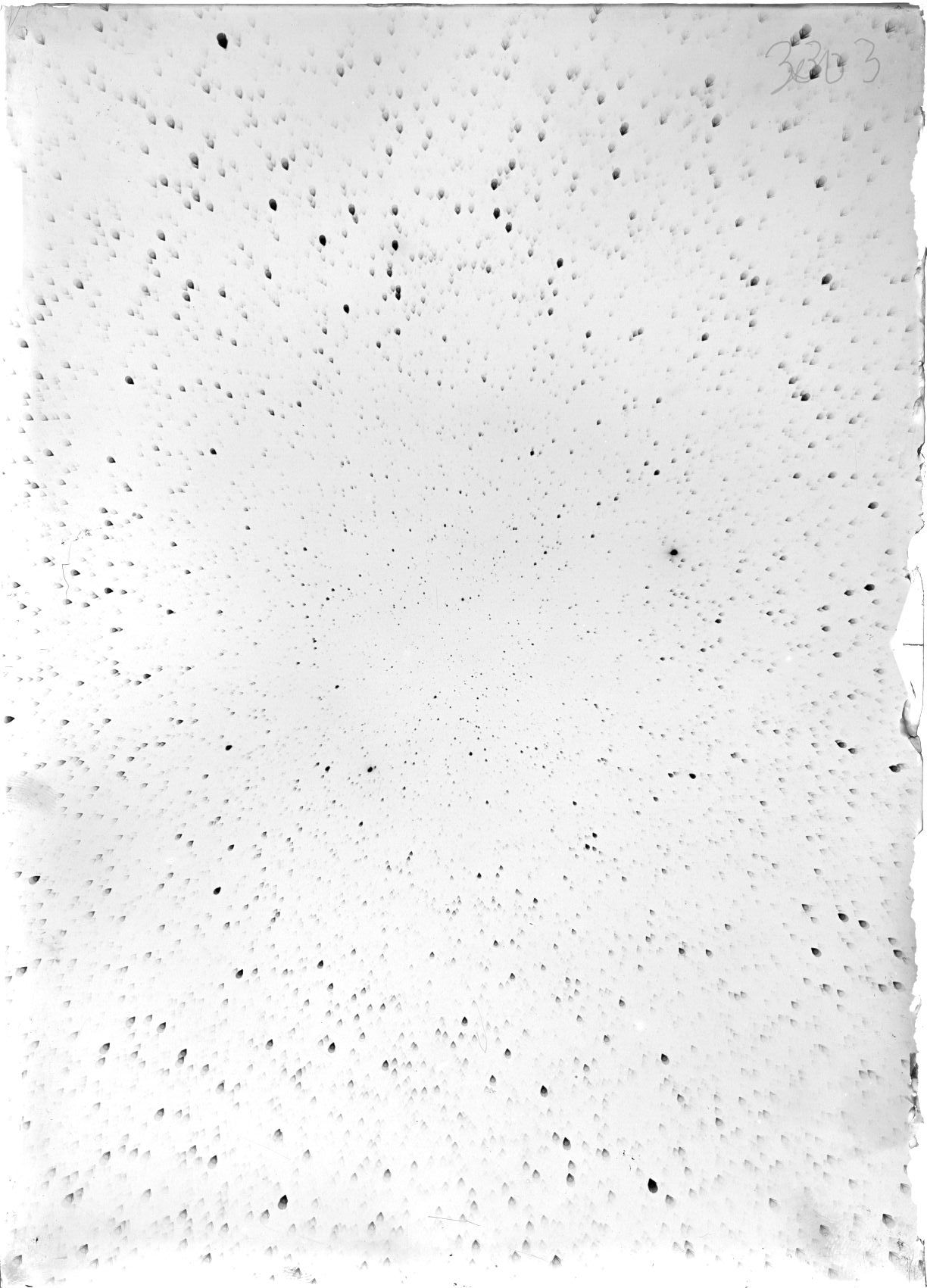 Scan ST03303