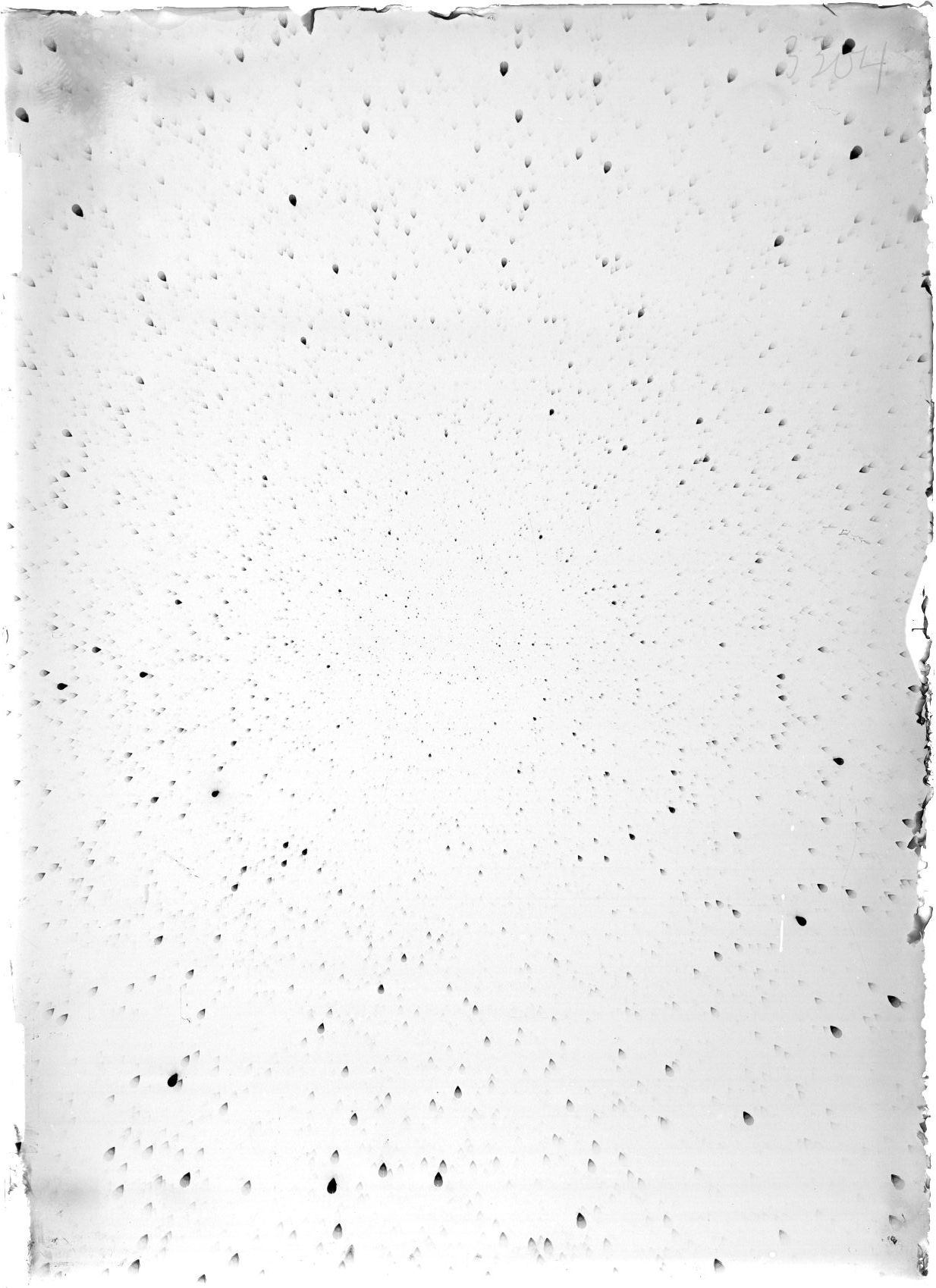 Scan ST03304