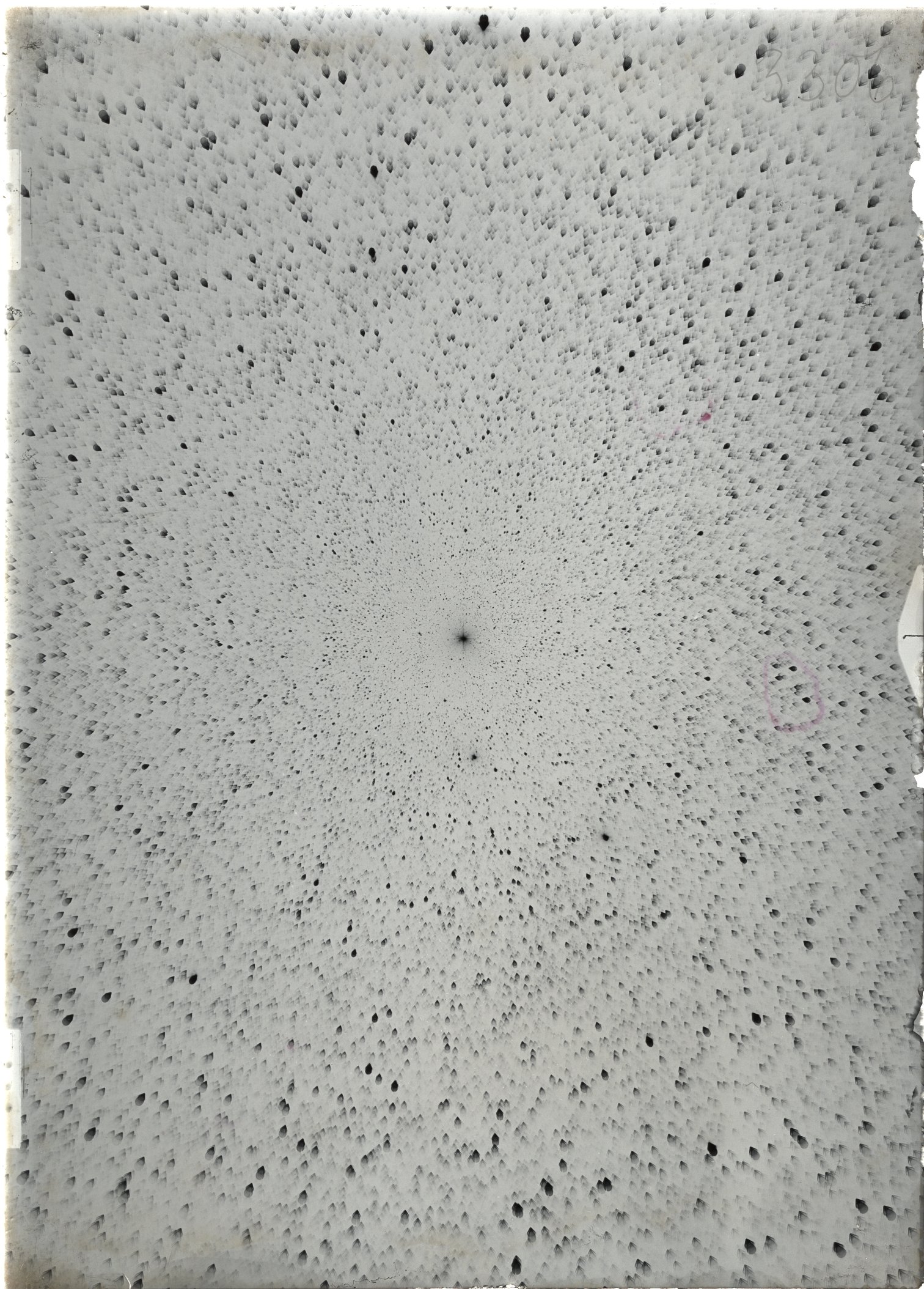 Scan ST03306