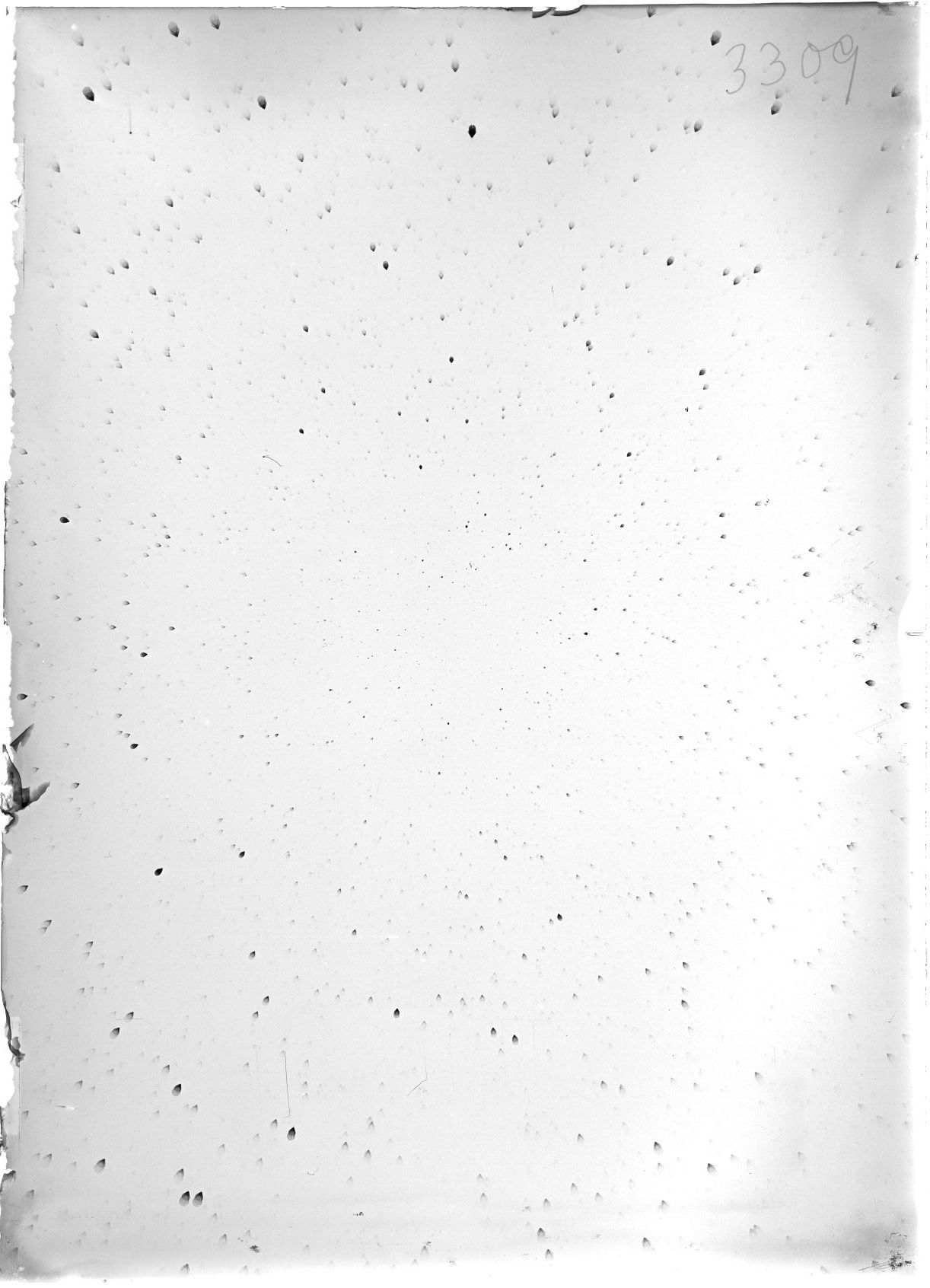 Scan ST03309