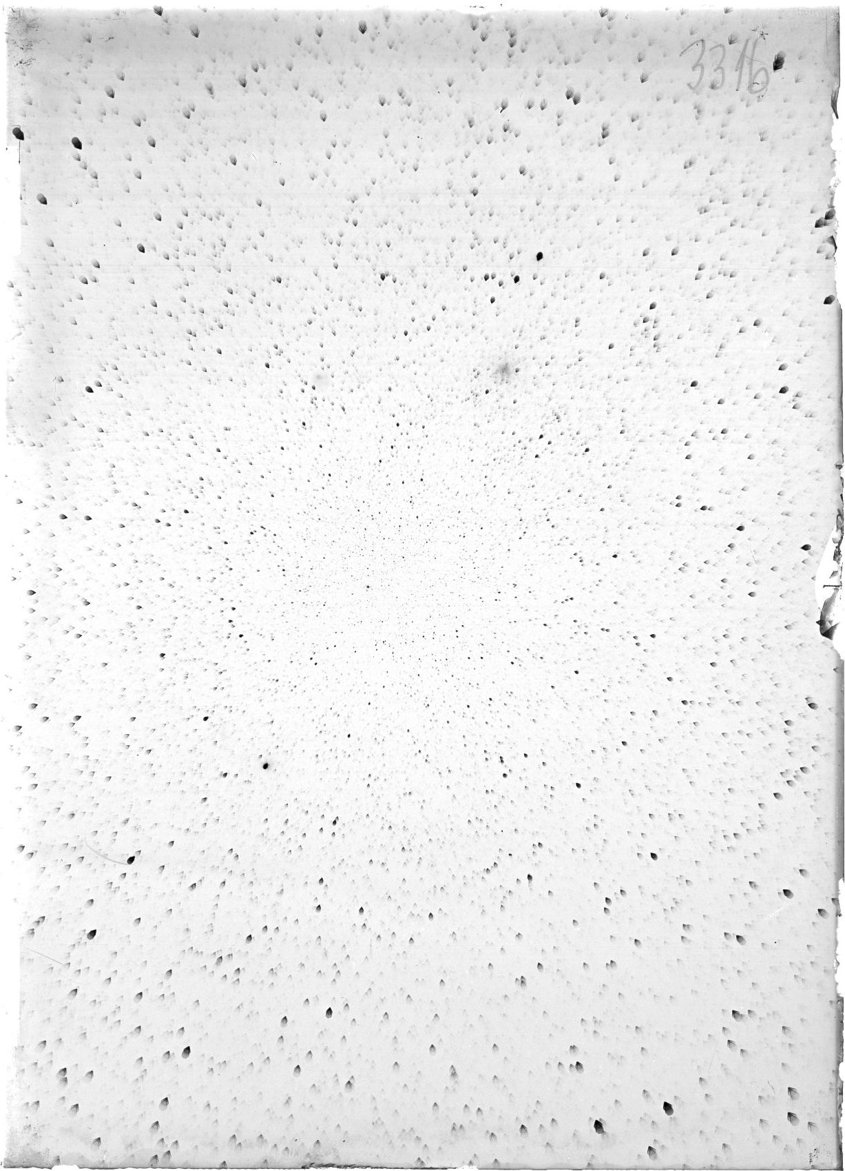 Scan ST03316