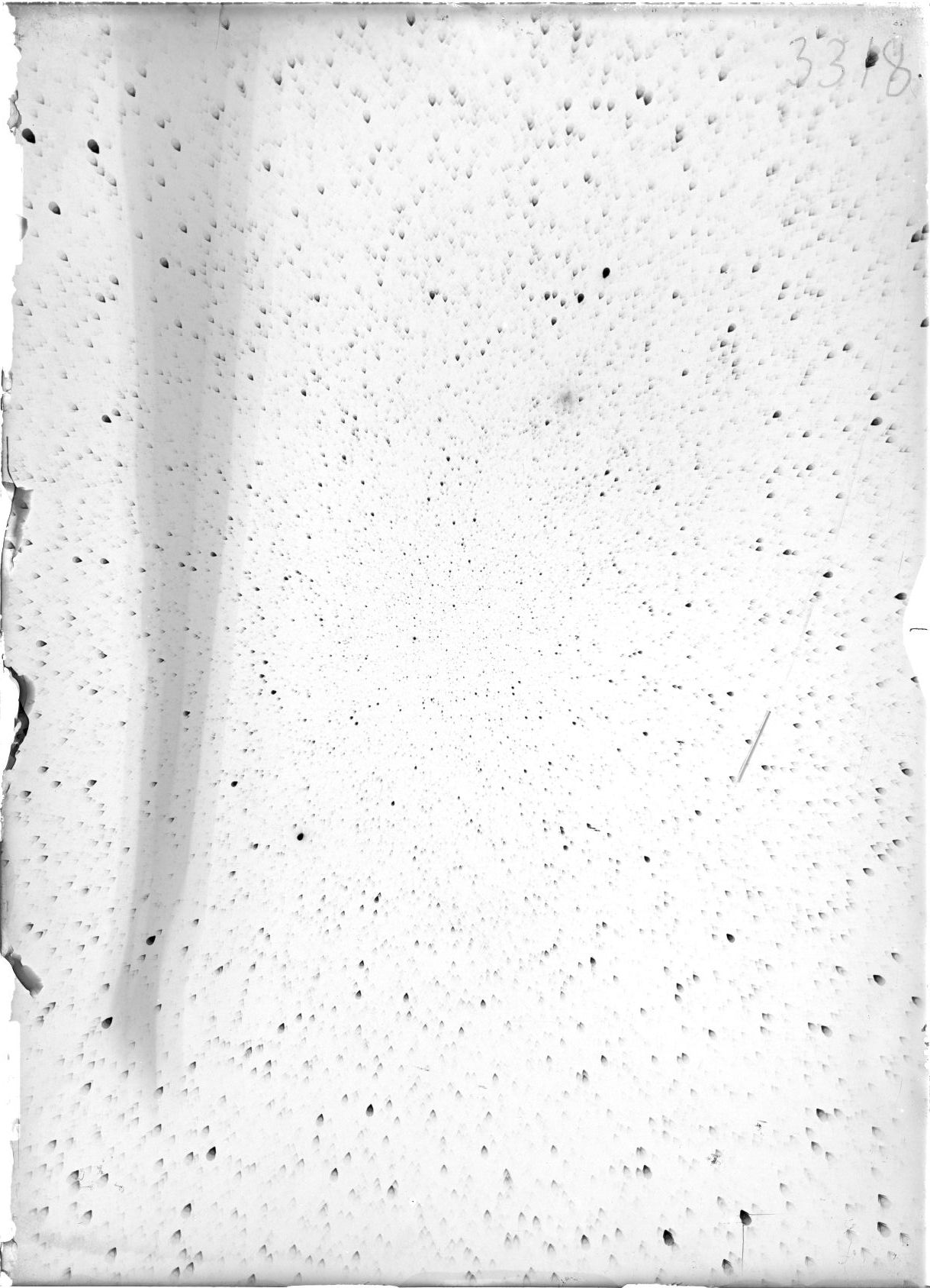 Scan ST03318