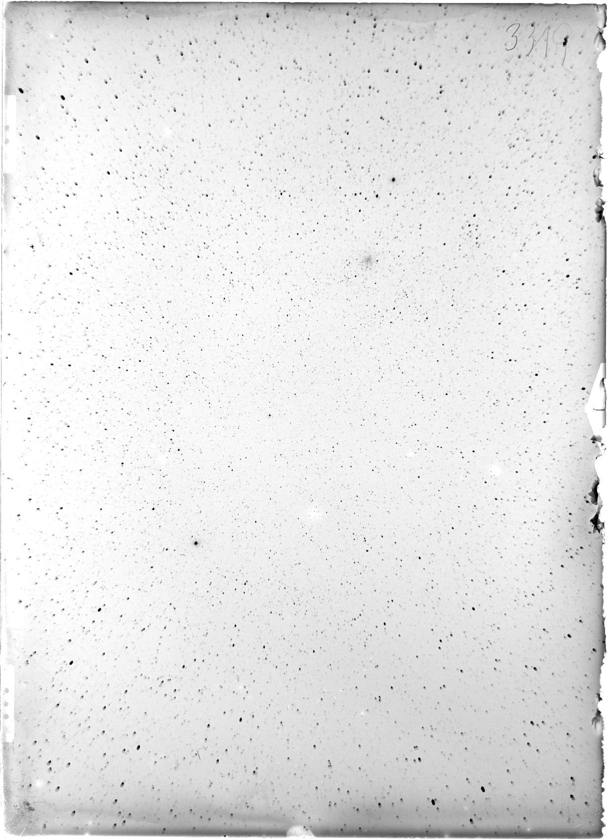 Scan ST03319